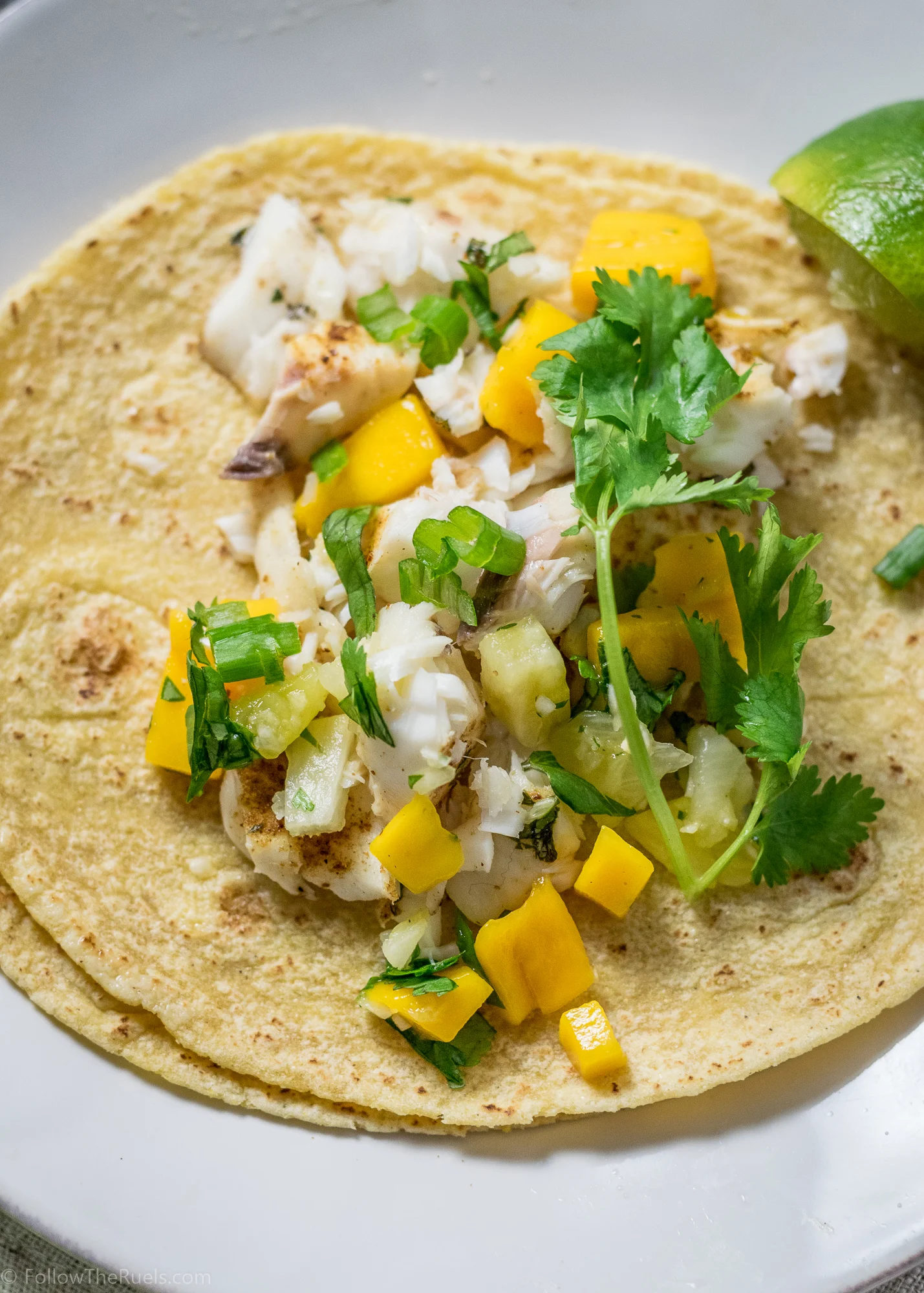 Fish-Tacos-6.jpg