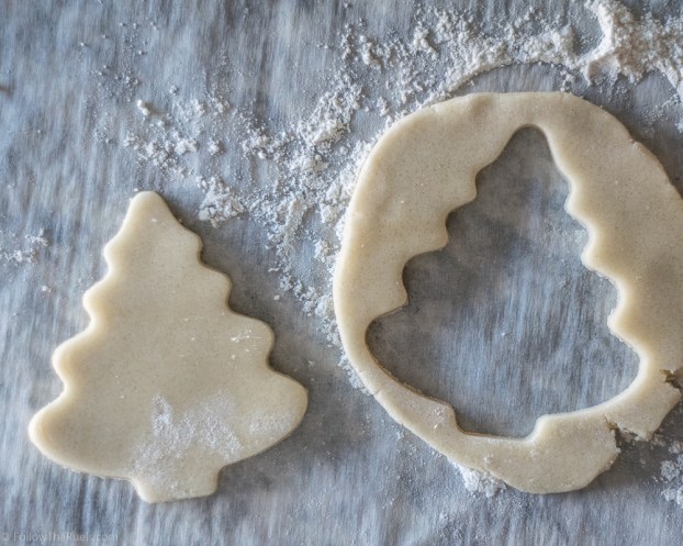 Christmas-Cookies-B-9.jpg