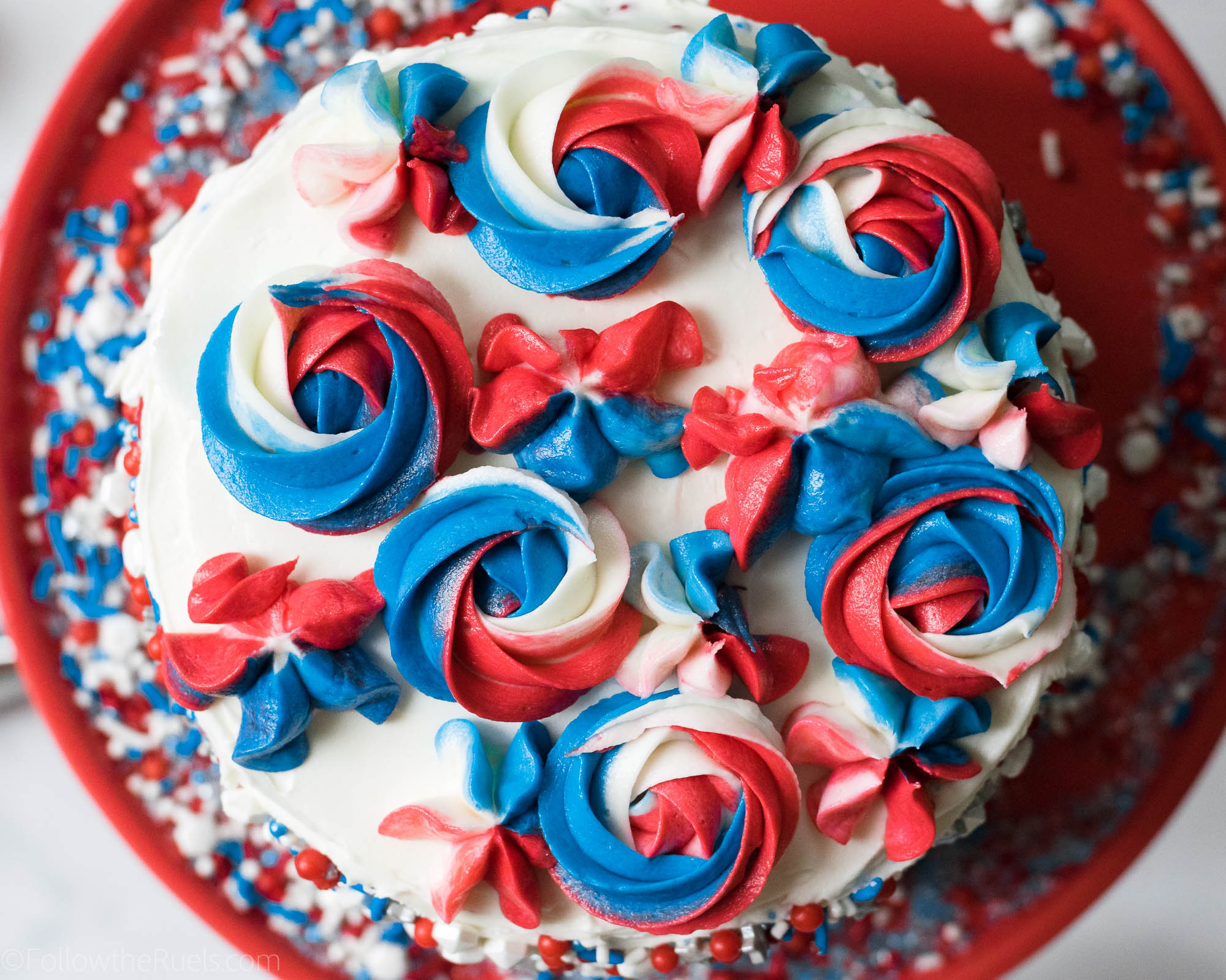 Firework Cake-13.jpg