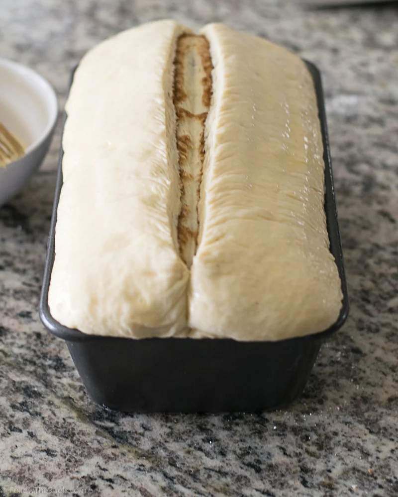 Cinnamon Roll BRead-17 (2017_09_23 20_54_27 UTC).JPG
