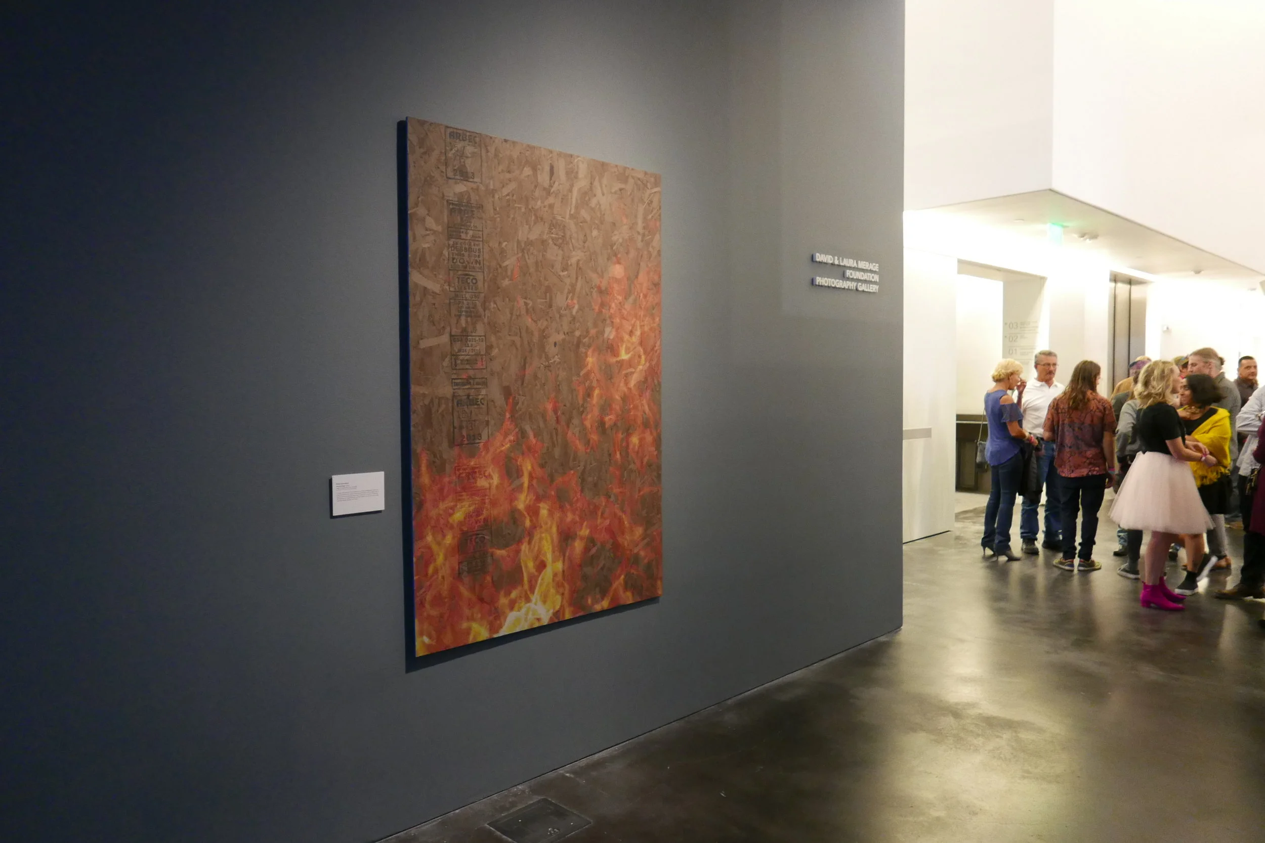 Peter Sutherland: Perma-fried, 2014