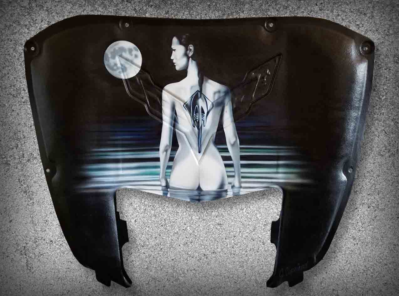 c7 corvette hood liner moon.jpg
