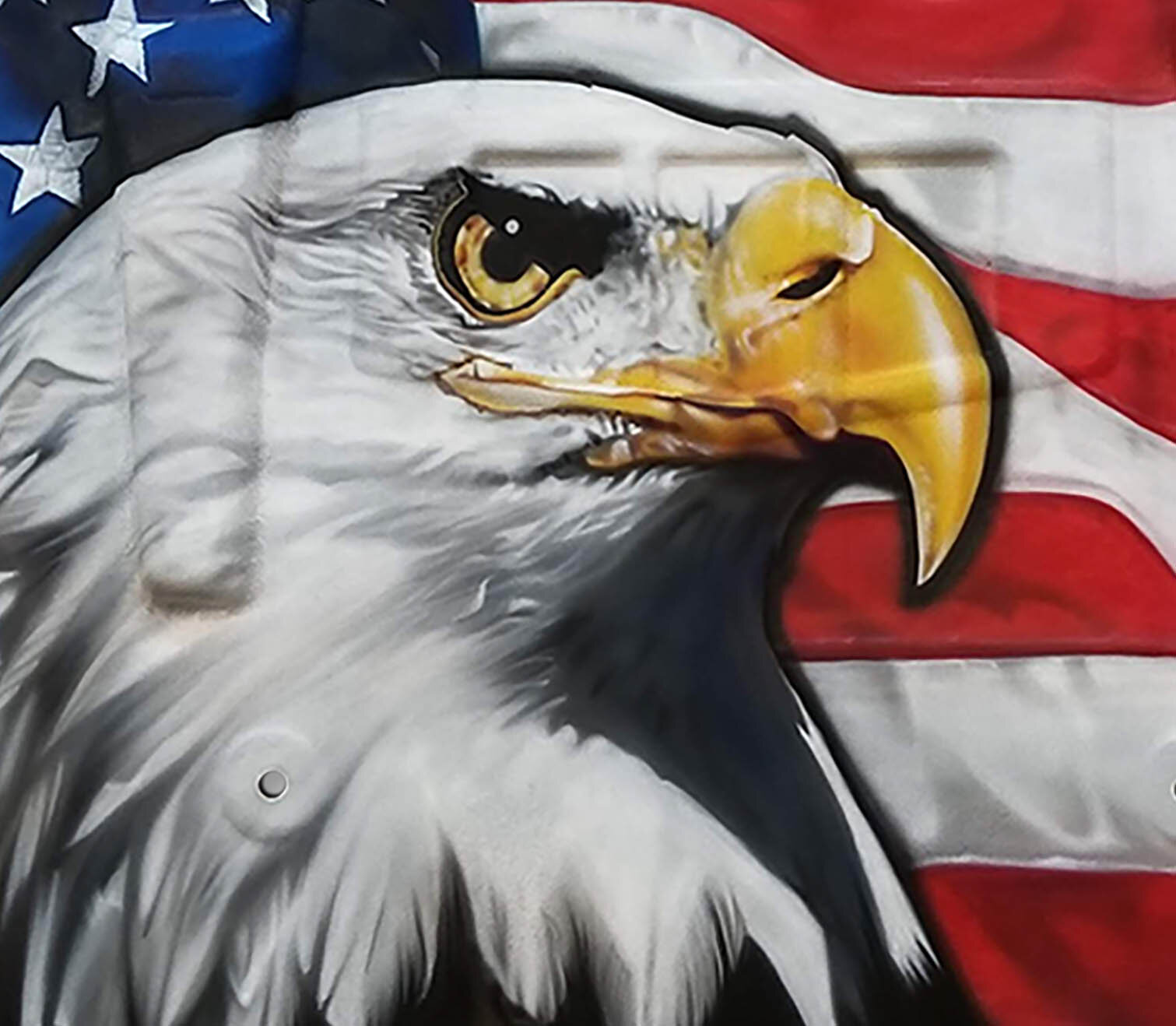 eagle detail.jpg