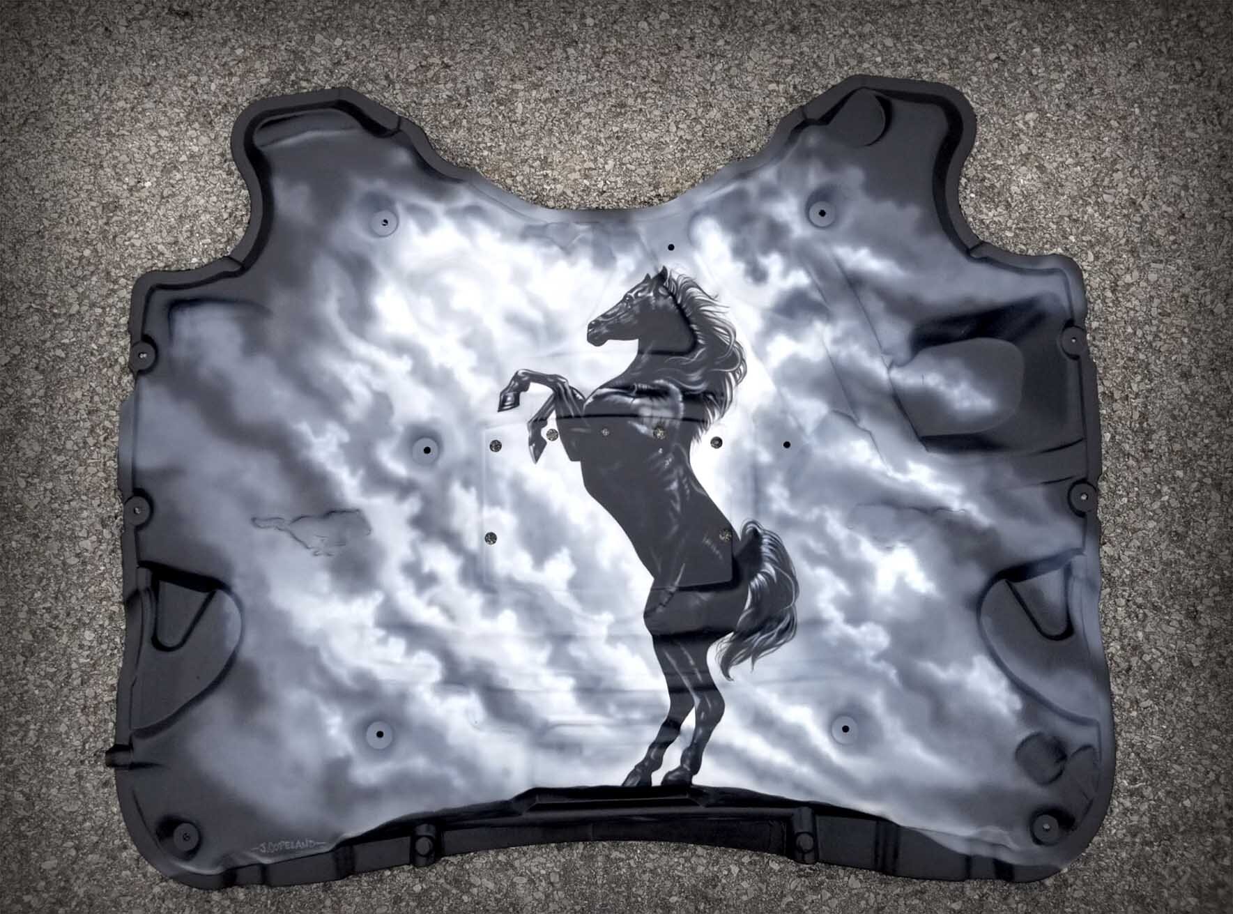 2007 mustang hood liner.jpg