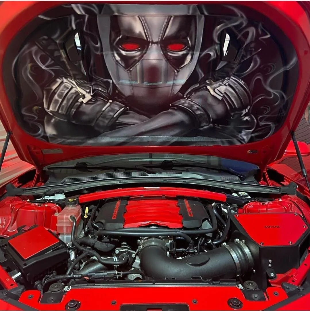 Airbrushed Hood Liners