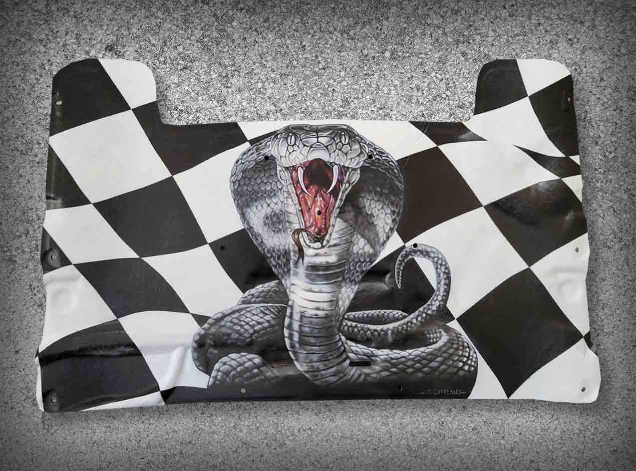 Cobra airbrush hood liner.jpg