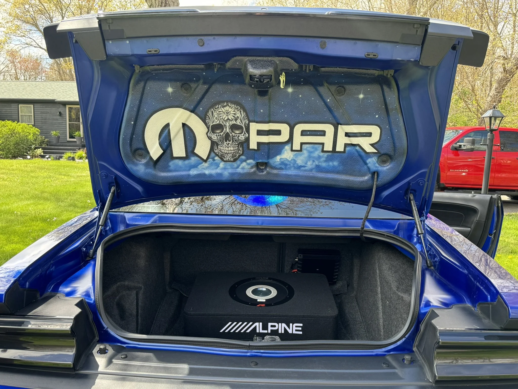 Mopar skull trunk liner.jpeg