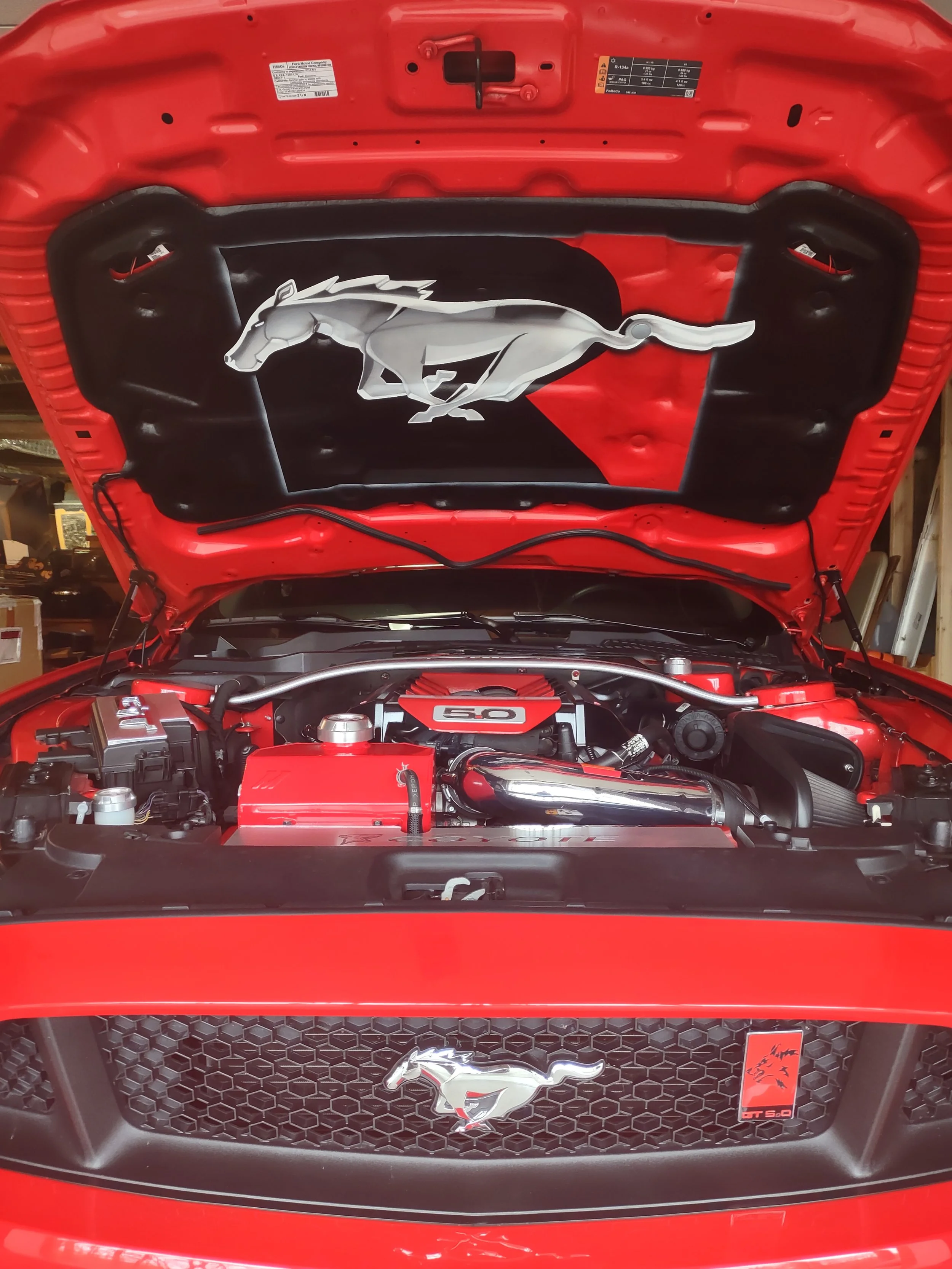 Mustang Roush hood liner.jpg
