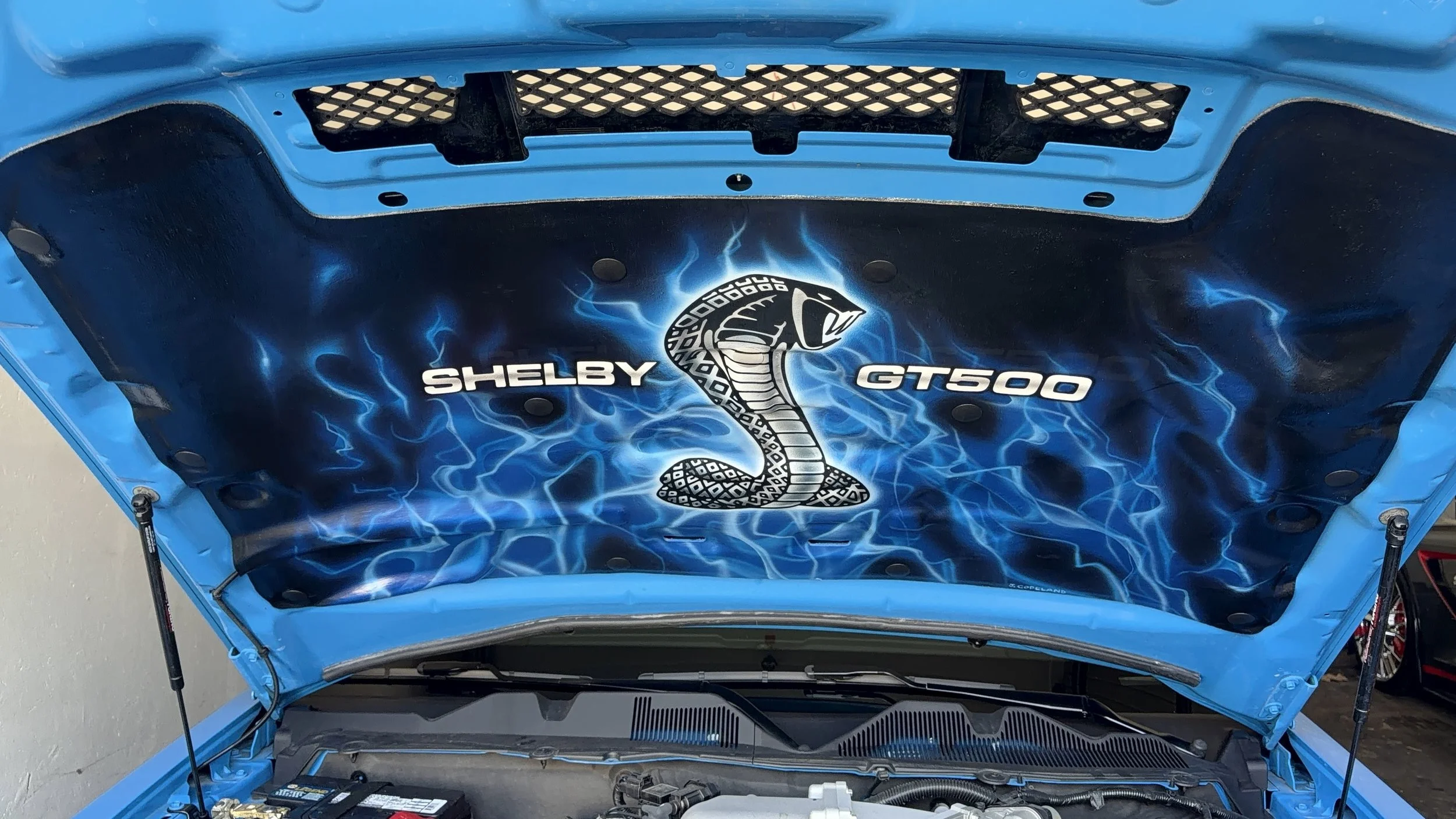 Mustang GT500 hood liner2.jpeg