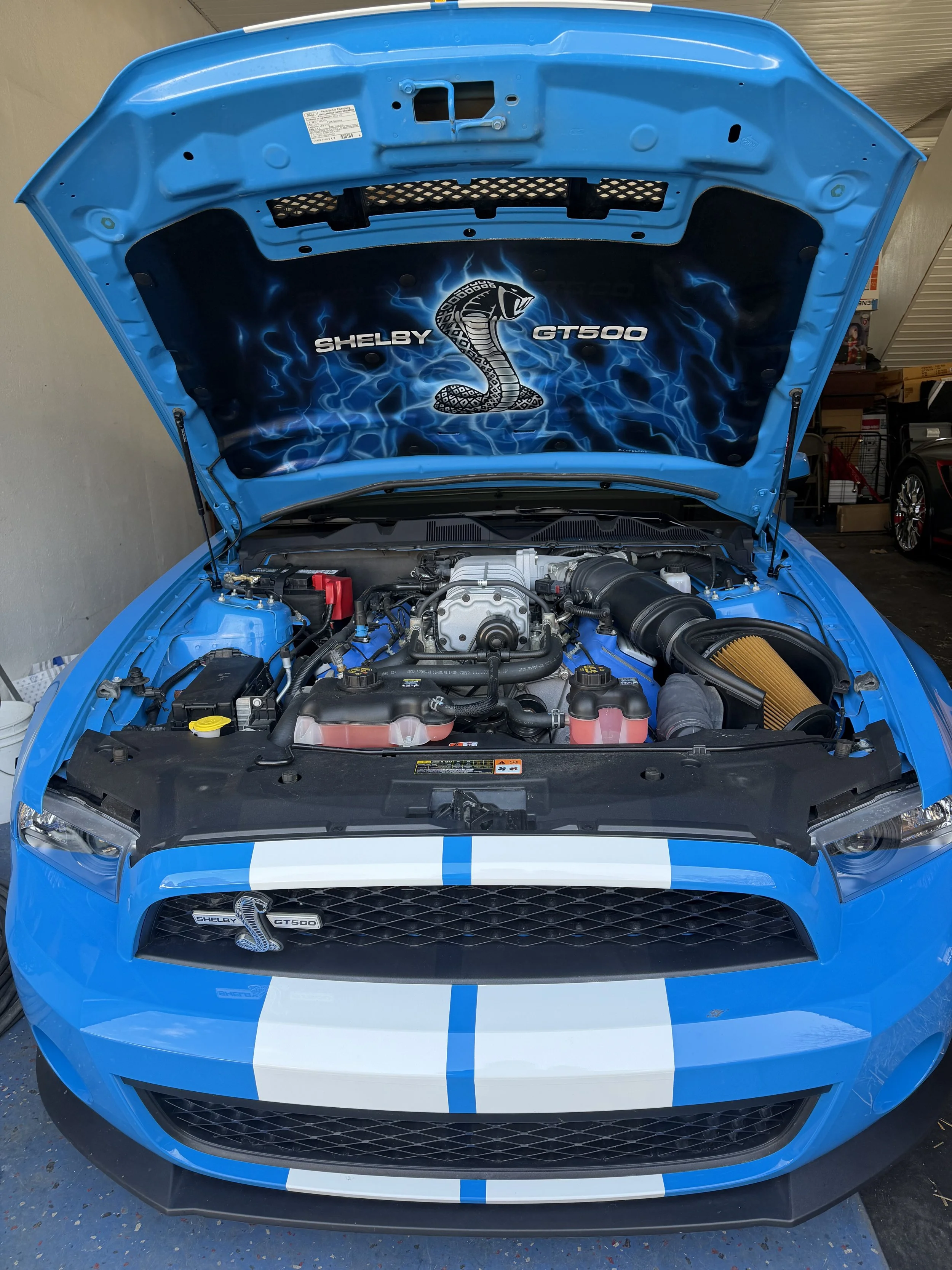 Mustang Cobra hood liner.jpeg