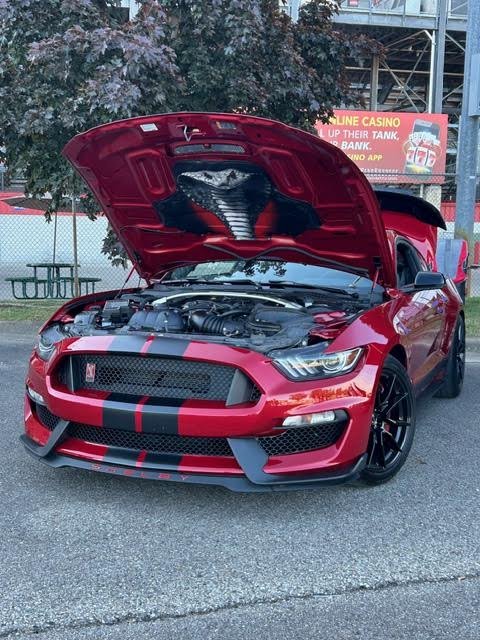 Mustang GT350 hood liner.jpg