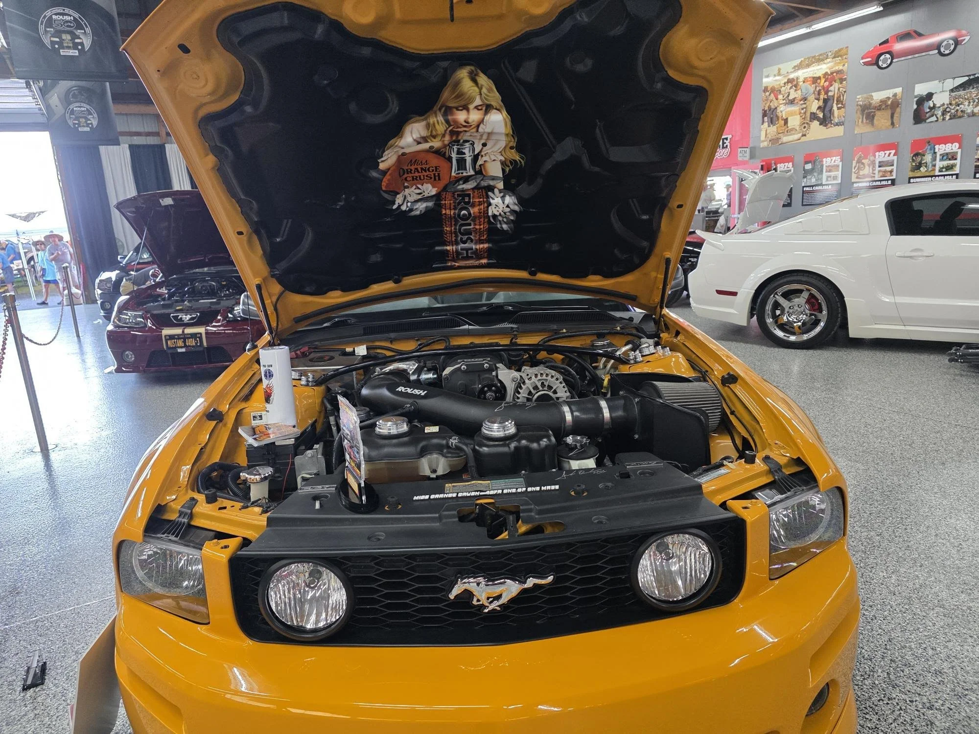 Mustang GT500 hood liner.jpg