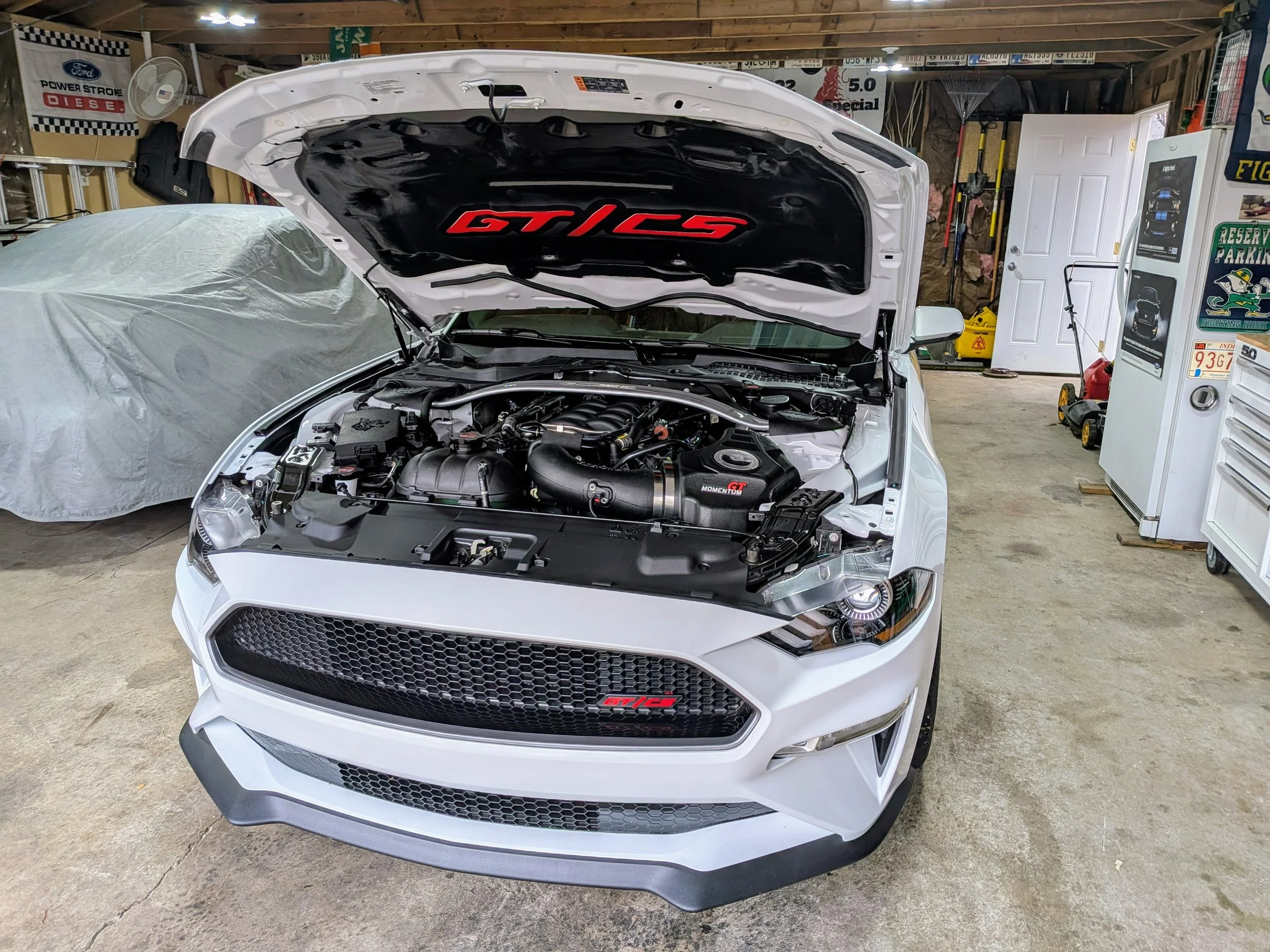 Mustang GT CS Hood Liner.jpg