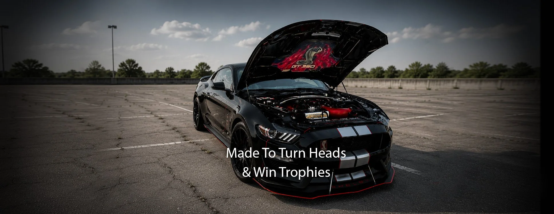 Web banner Mustang.jpg