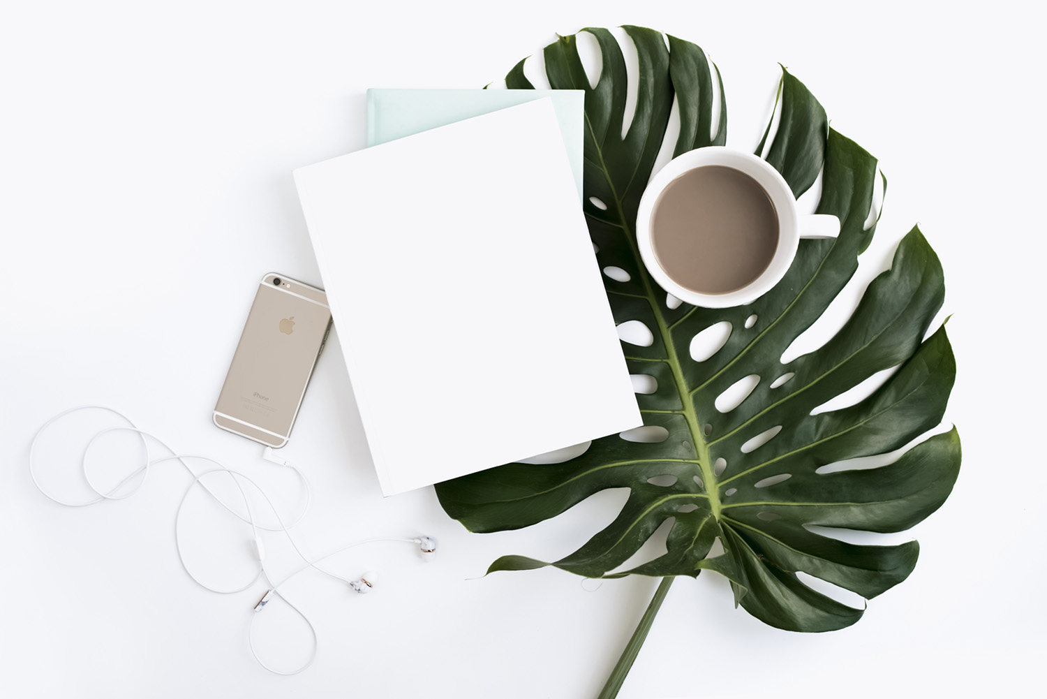 Her Creative Studio -Montserra Leaf & Coffee.jpg
