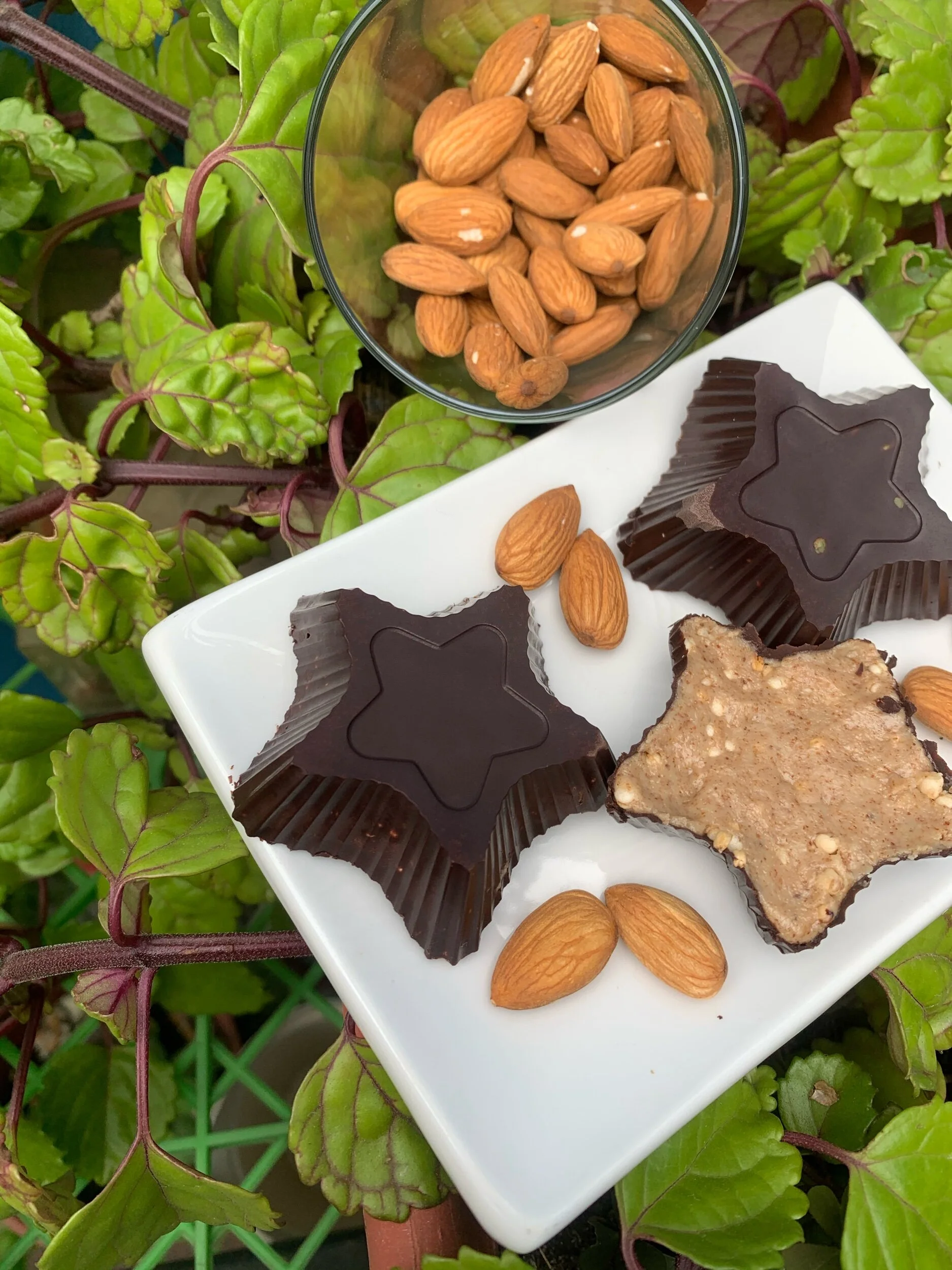 ⭐️ Bombones de mantequilla de almendras ⭐️