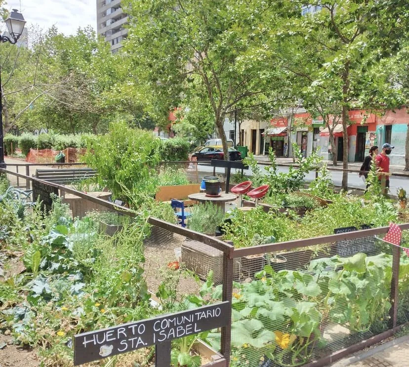 Huerto comunitario