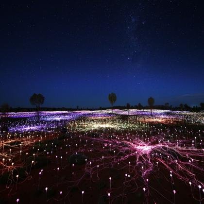 field of light and stars_0.jpg