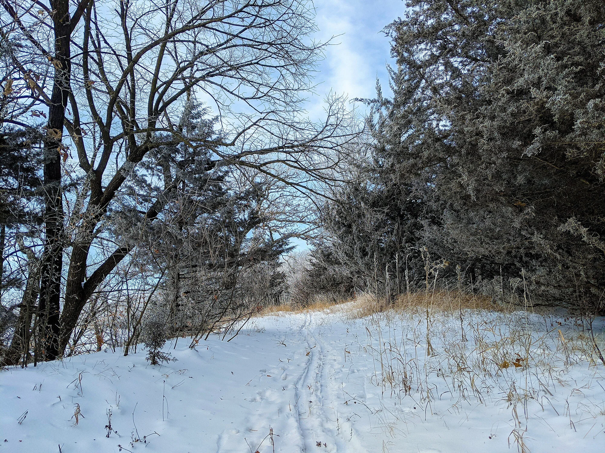 X-Country Skiing
