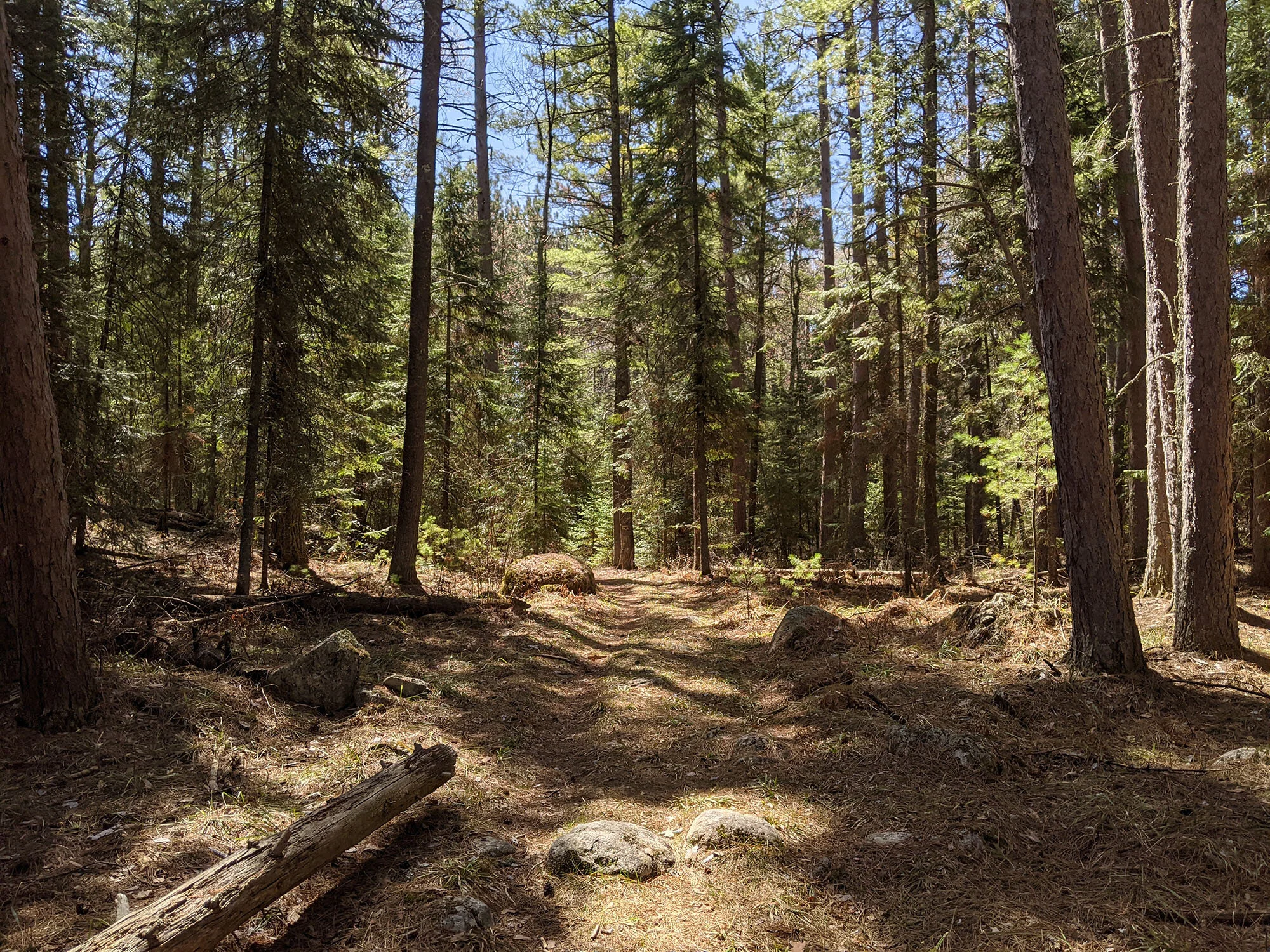 Miner's Trail
