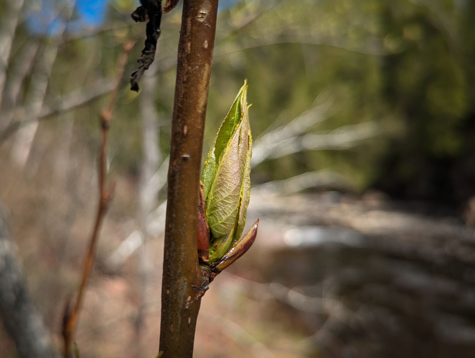 tettegouche_pic15.jpg