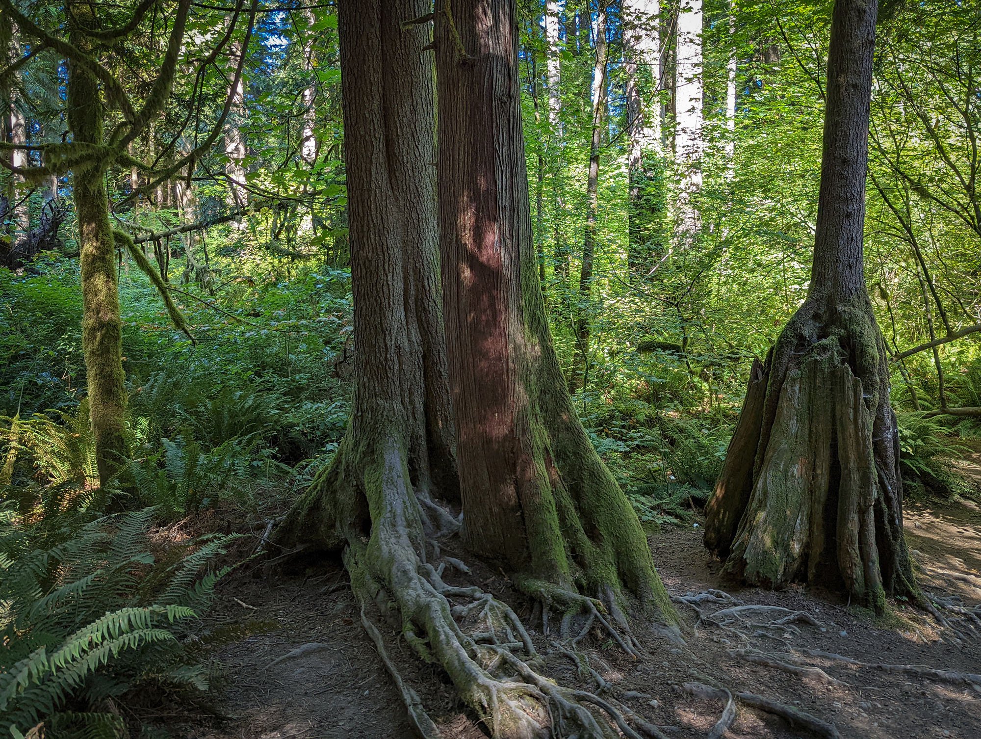 snoqualmie_pic_16.jpg