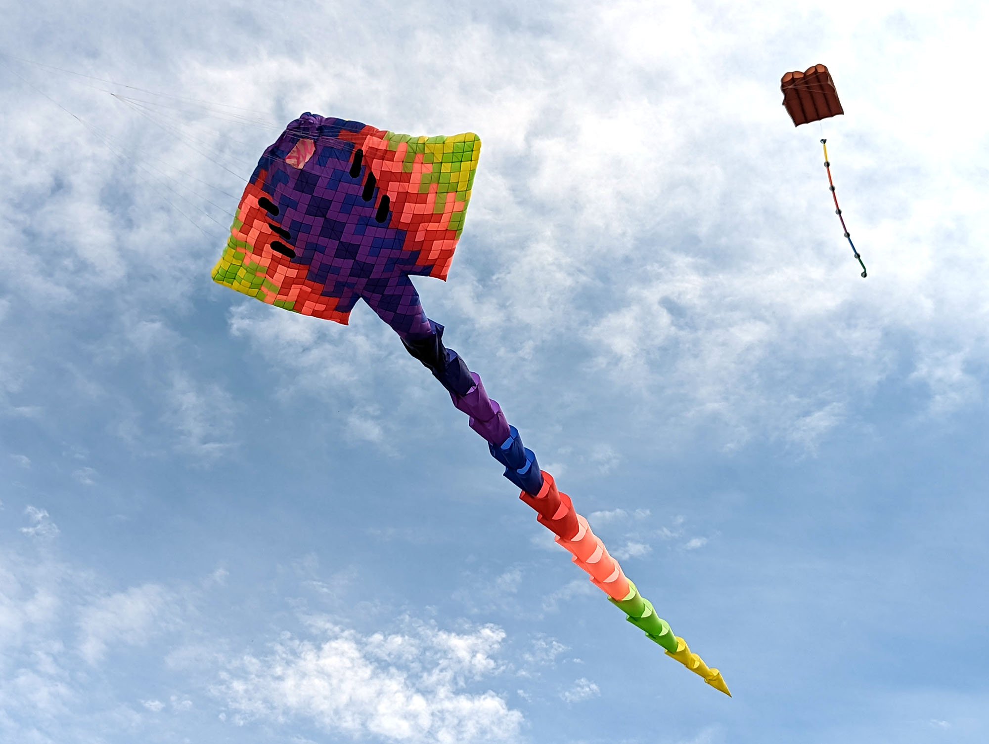 kites_pic_20.jpg