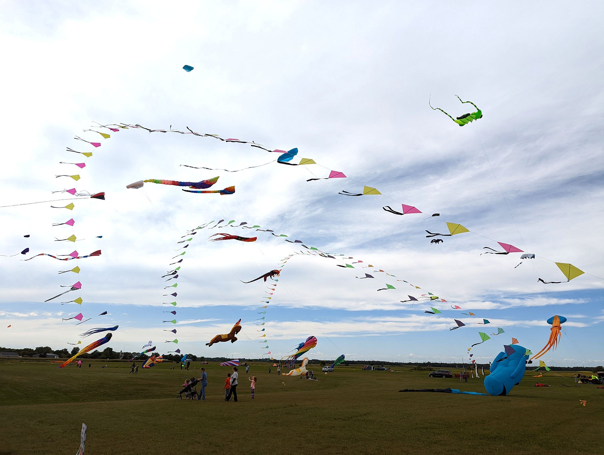 kites_pic_21.jpg