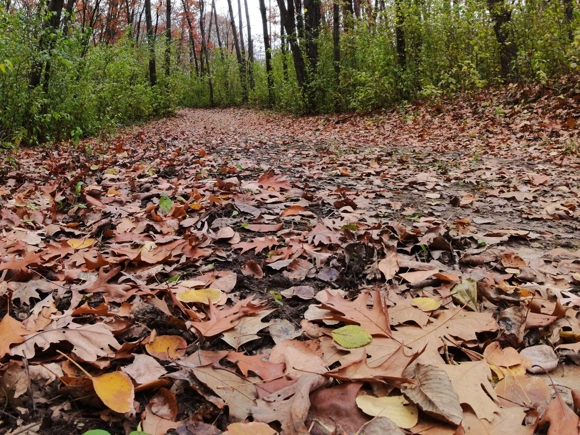 Ritter Farm Park