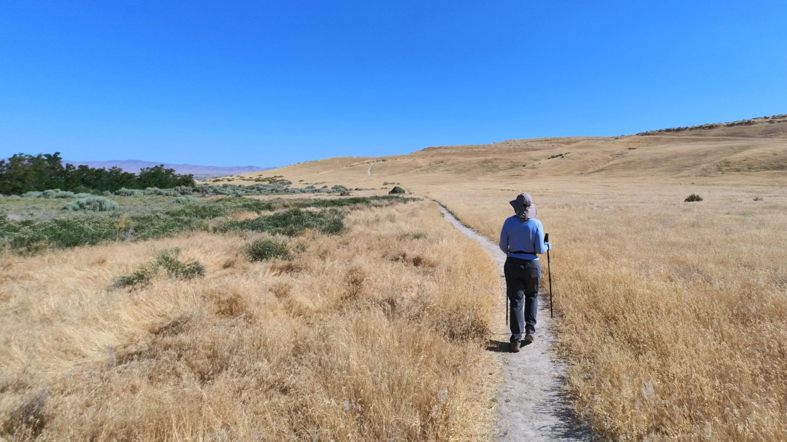 whitebluffs_pic_02.jpg