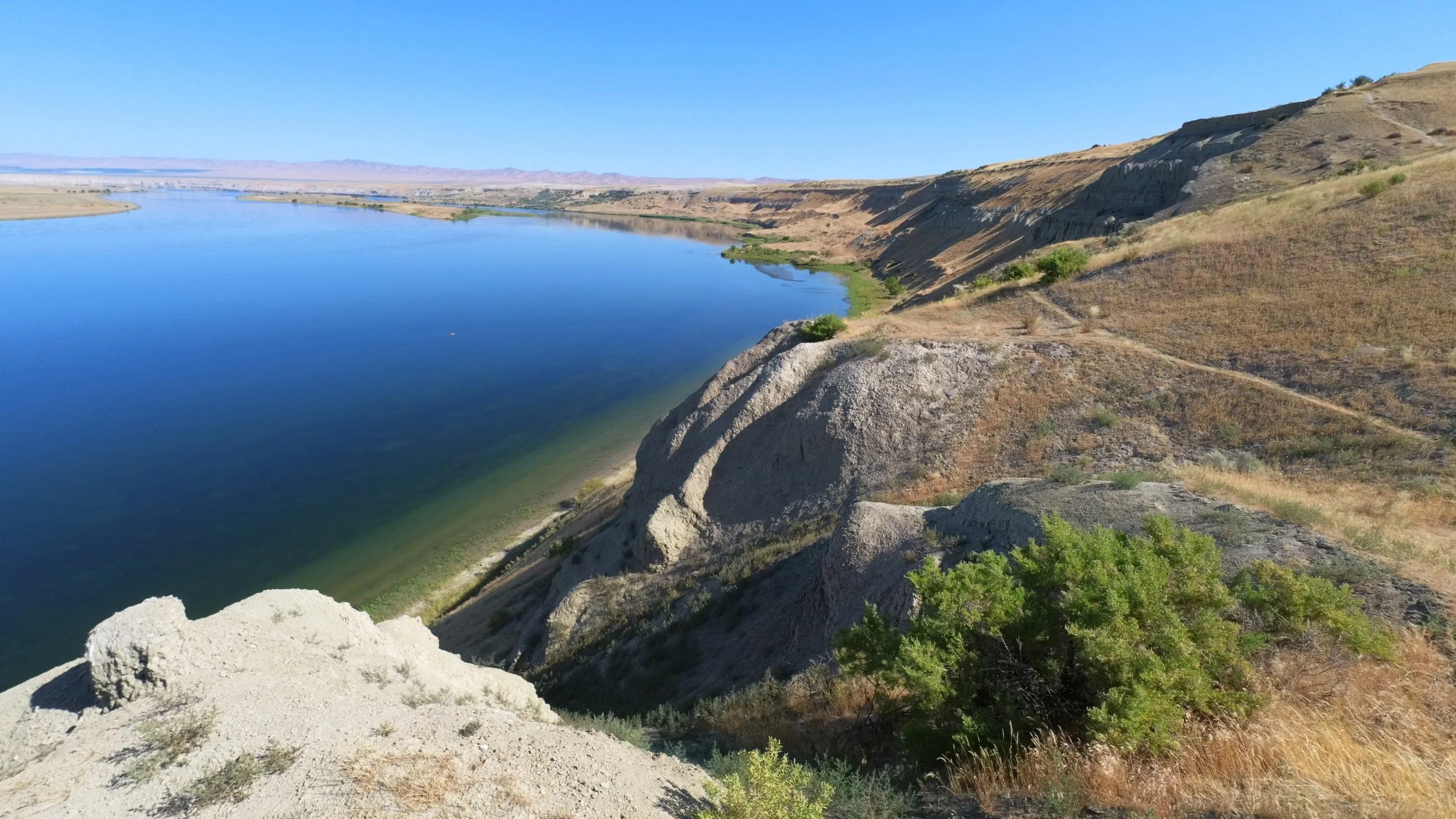 whitebluffs_pic_05.jpg