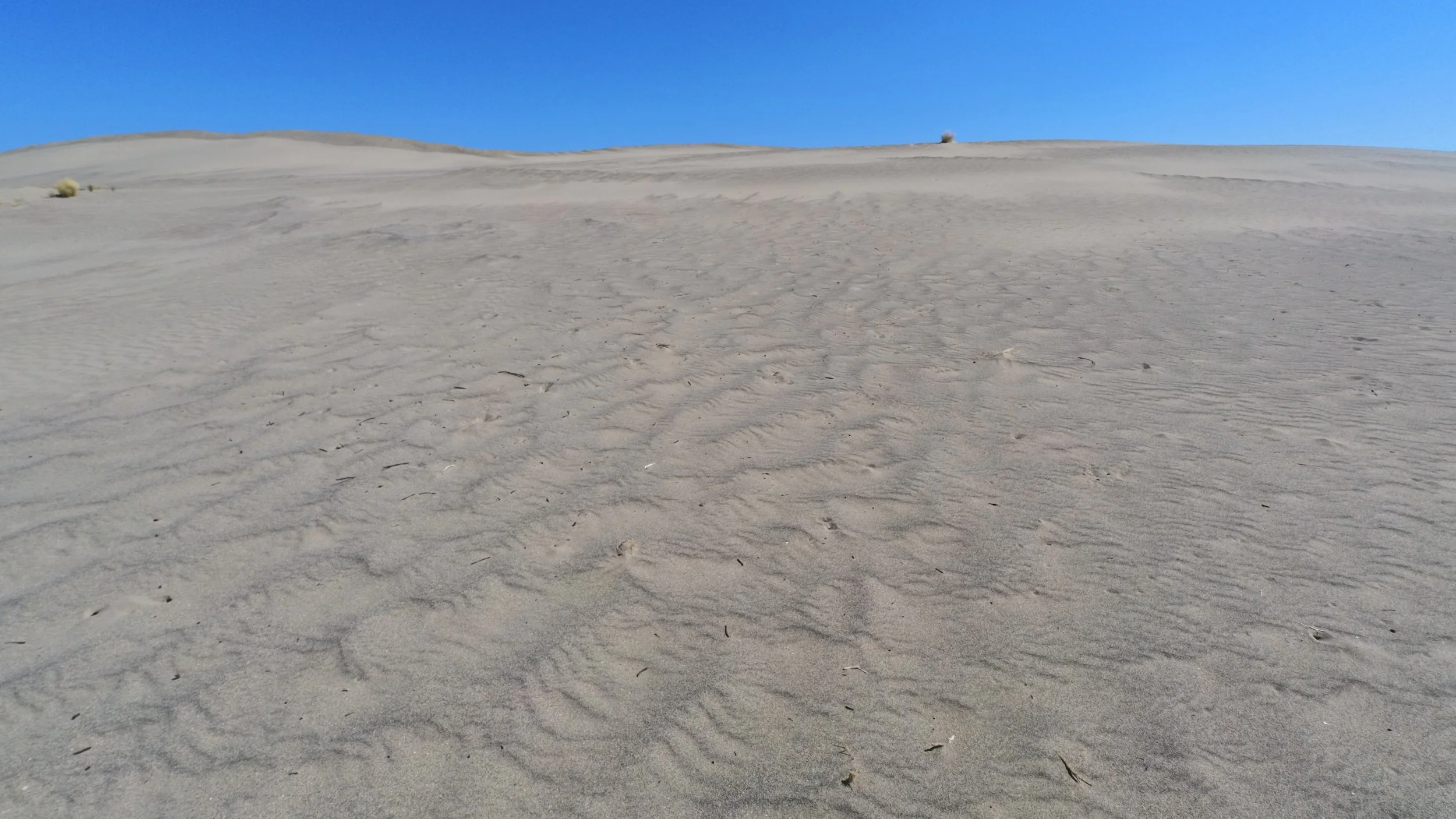 whitebluffs_pic_17.jpg