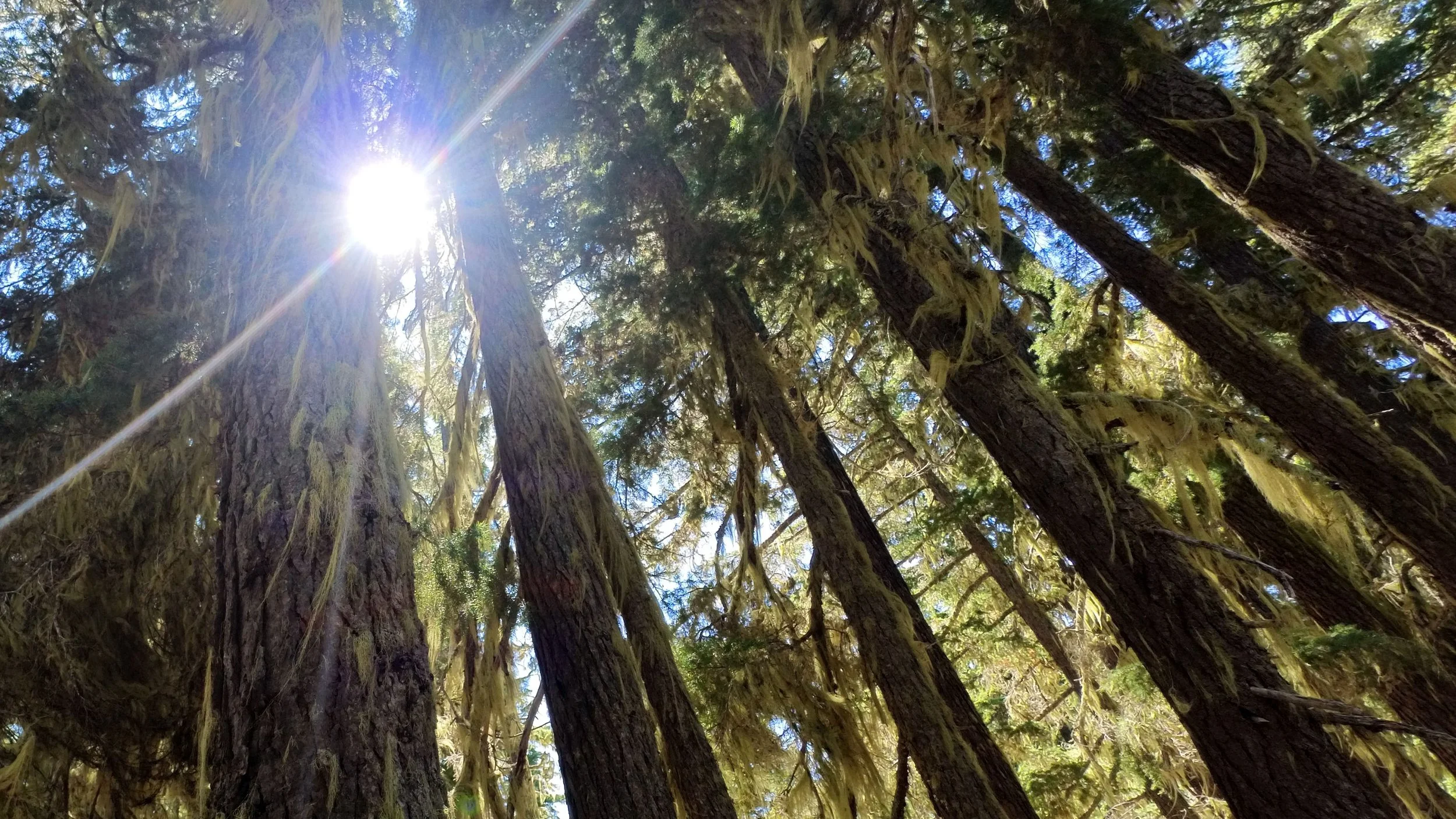 Mount Thielsen Wilderness