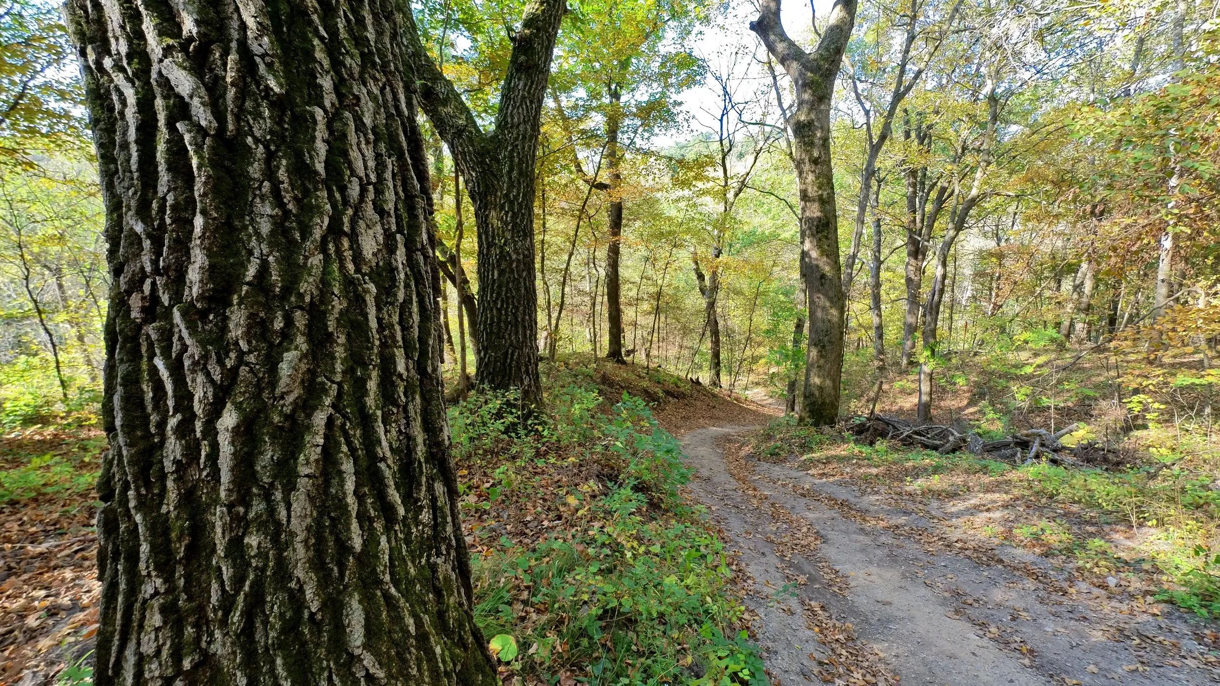 Seven Mile Creek County Park