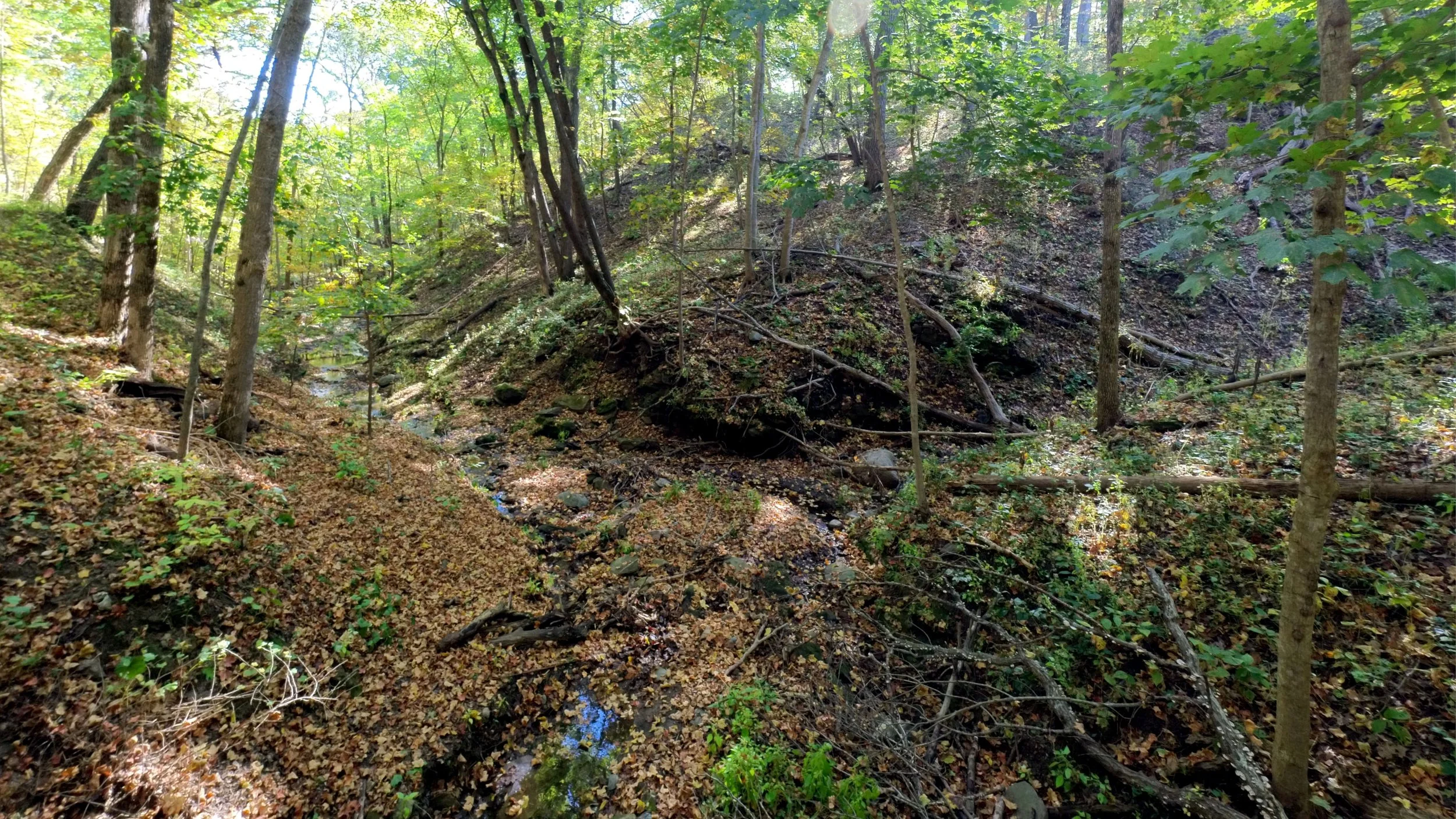 dolliver_pic_07.jpg