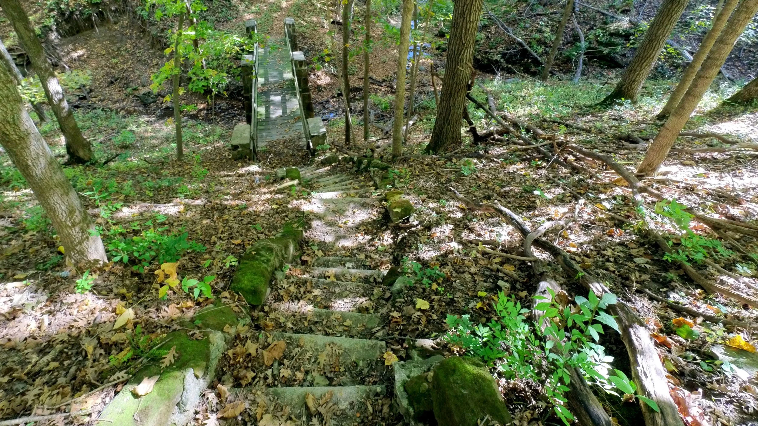 dolliver_pic_08.jpg
