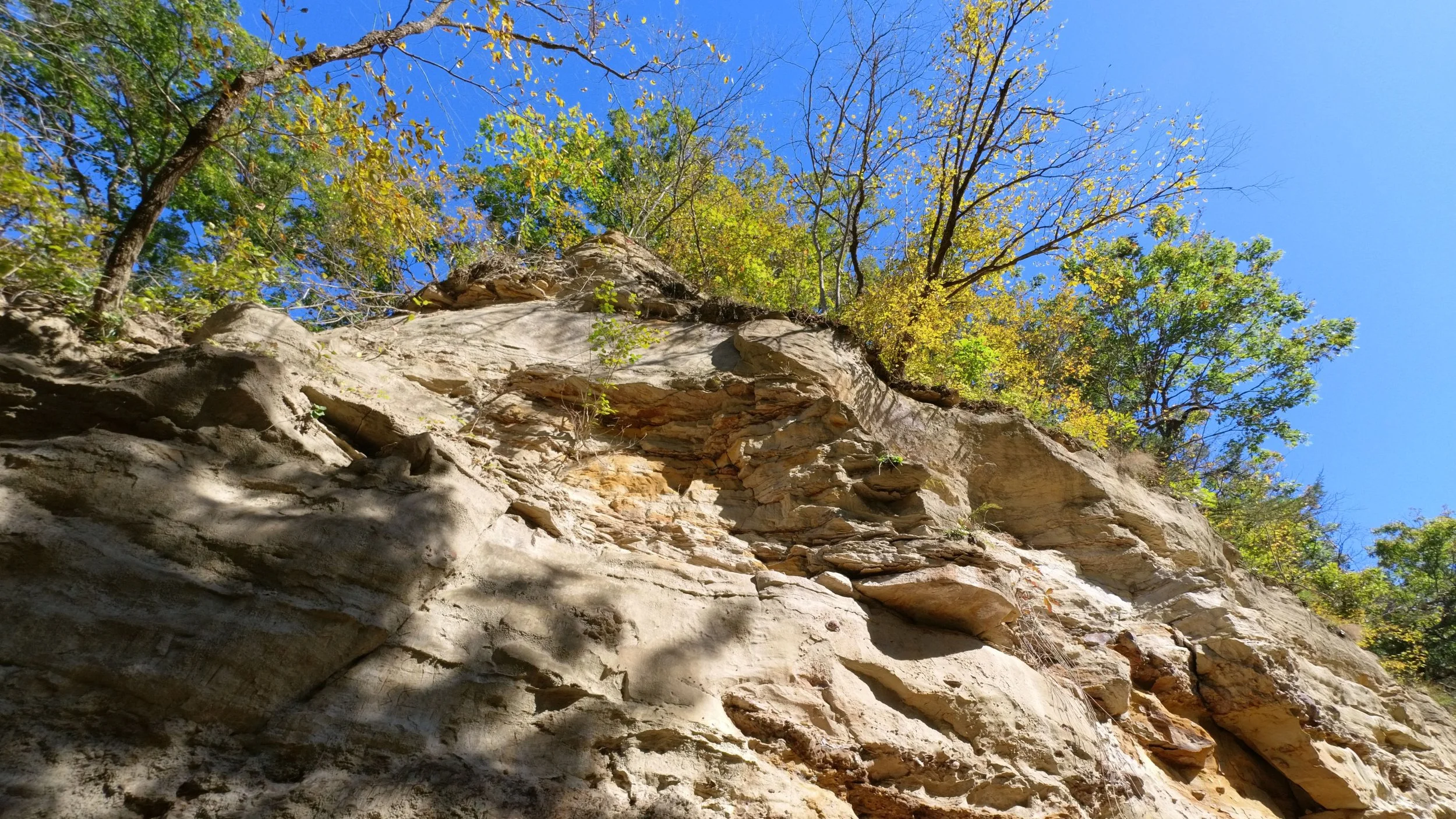 dolliver_pic_16.jpg