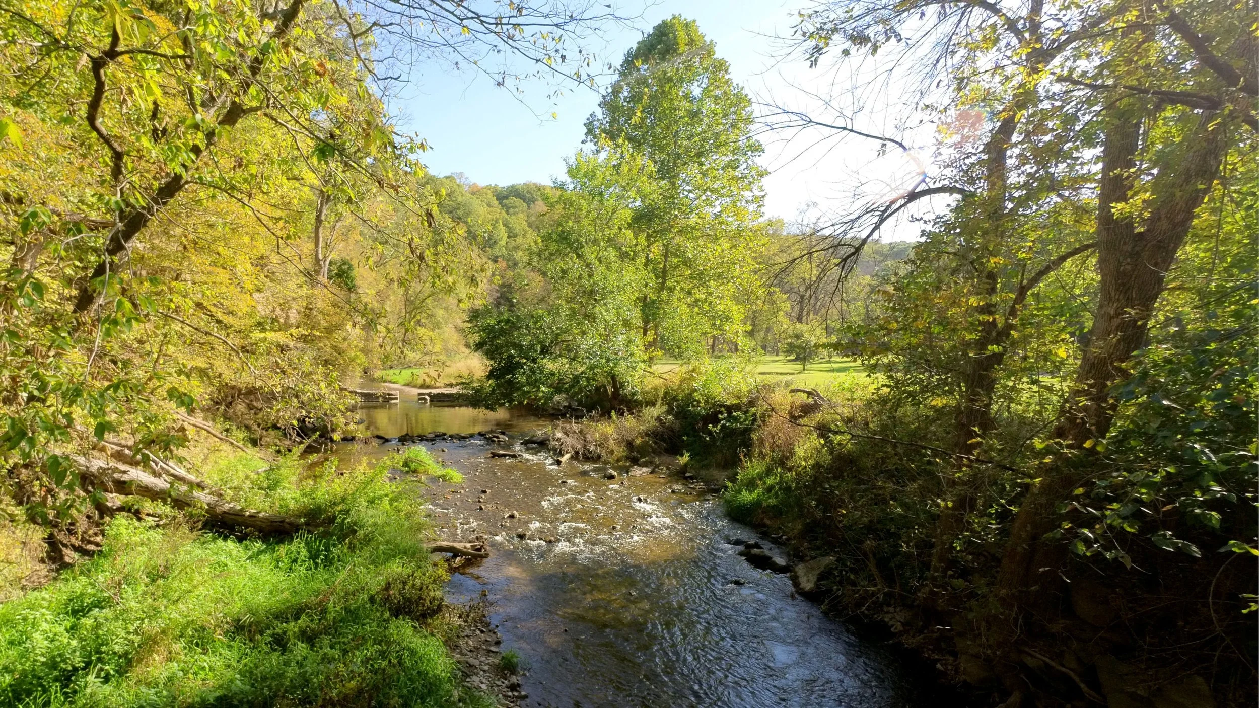 dolliver_pic_20.jpg