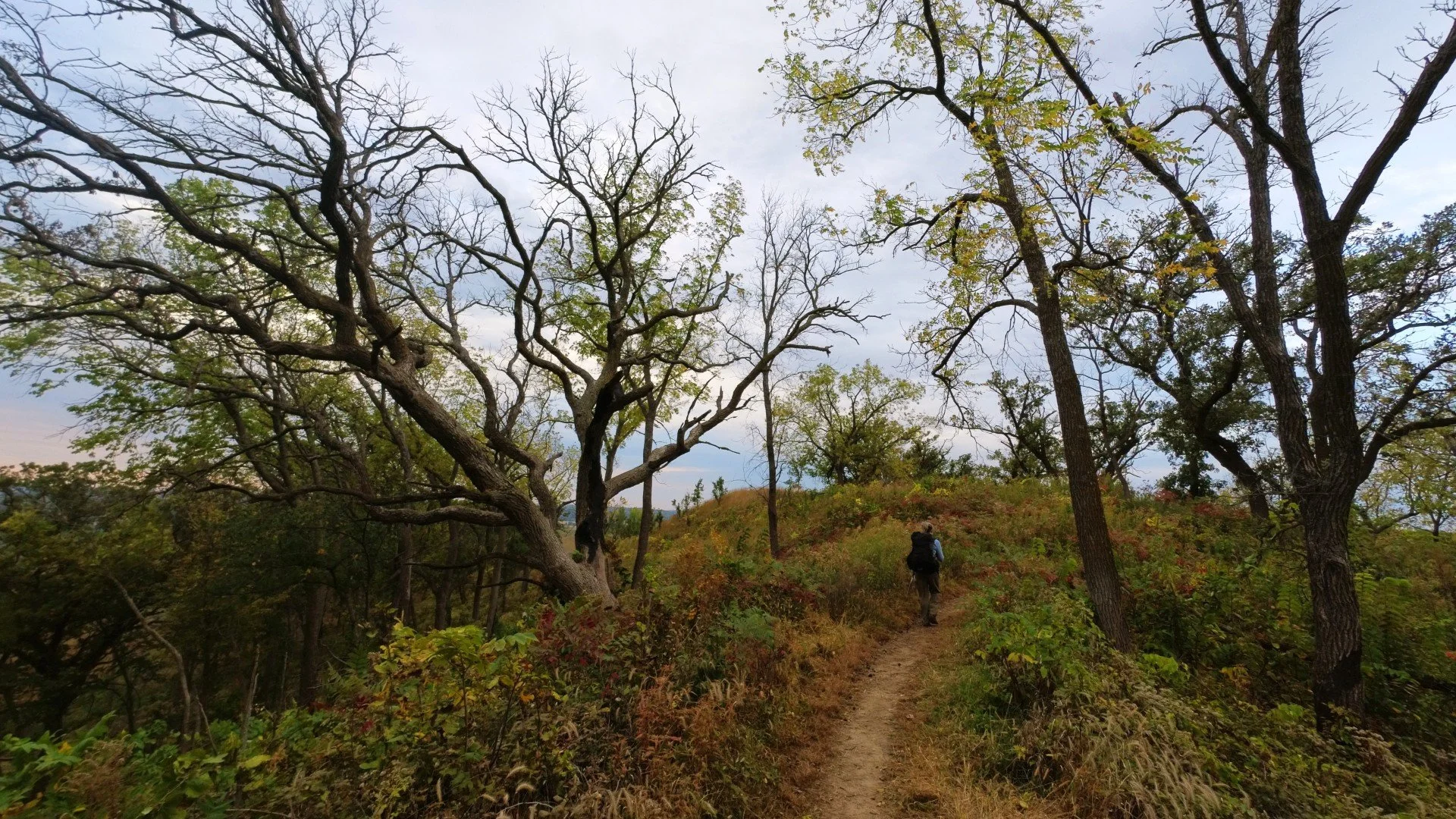 Hitchcock Nature Center