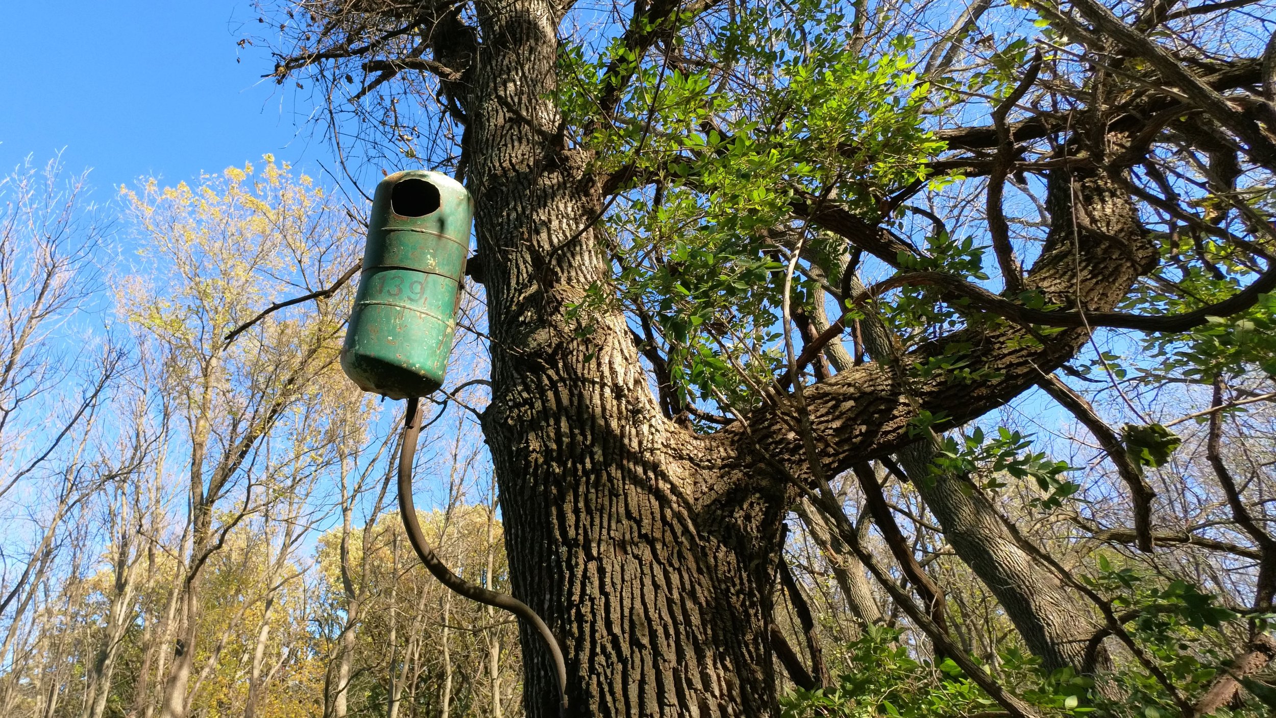Burt Lake County Park