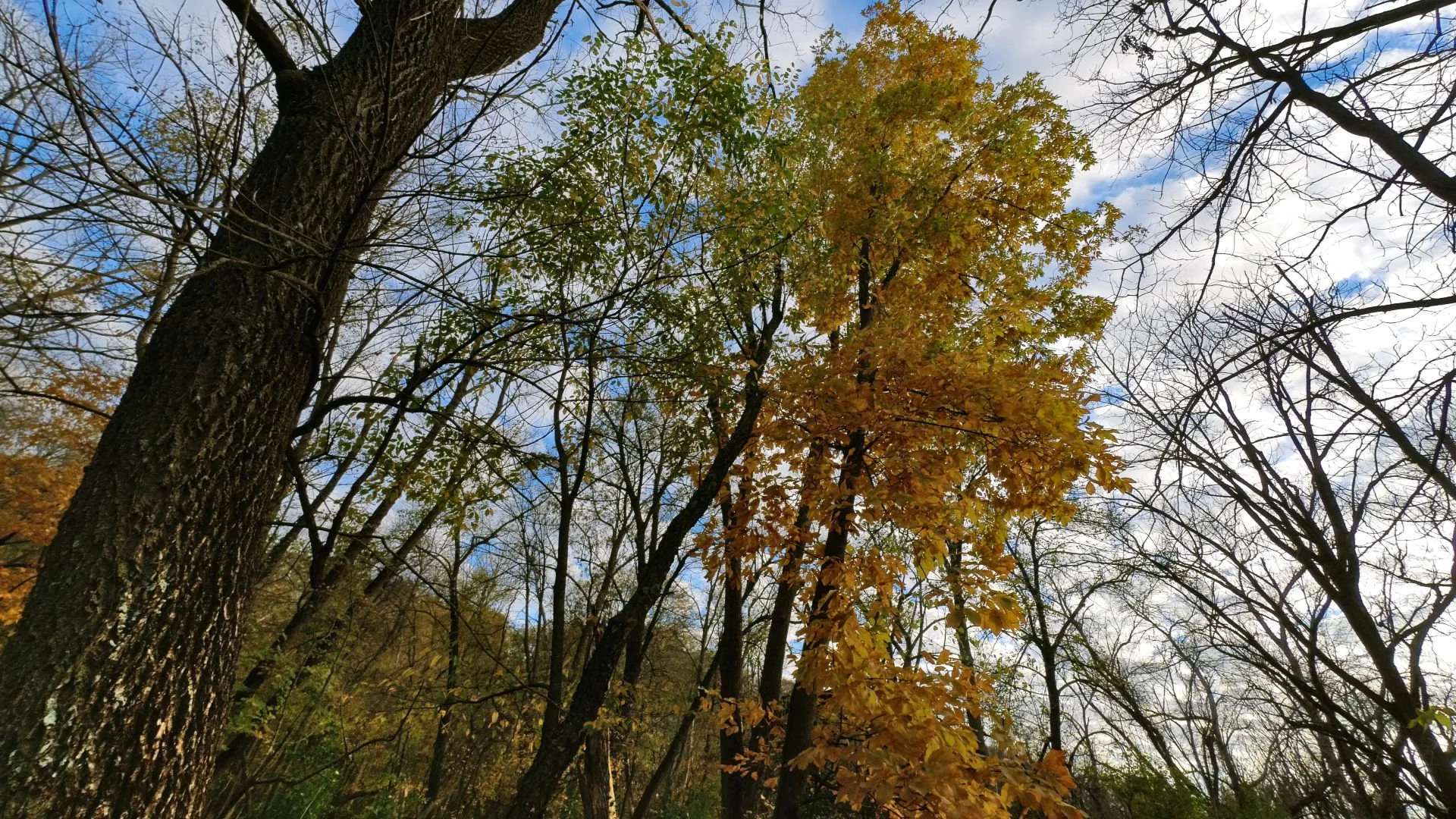 flandaru_pic33.jpg