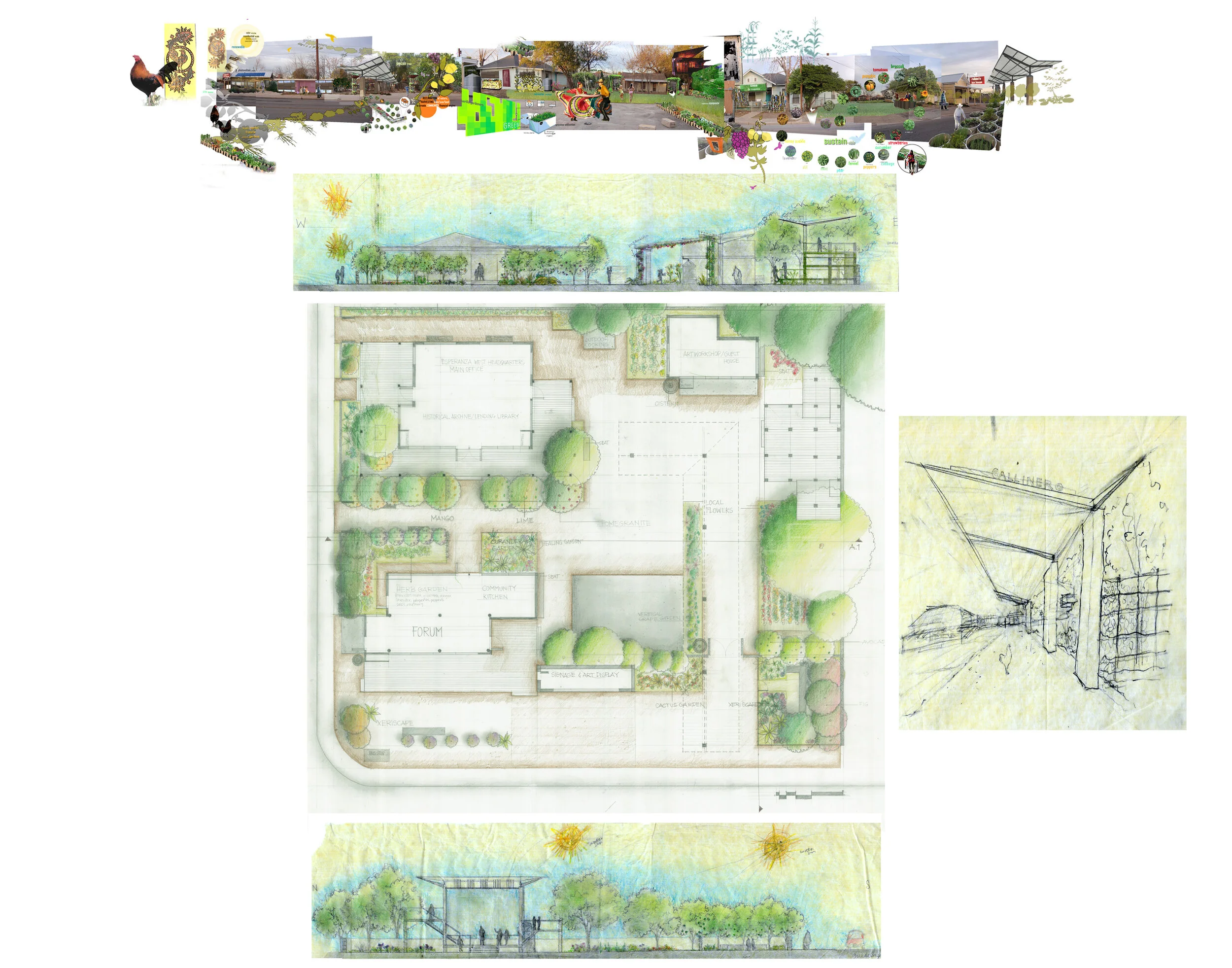 West Side plan and sections.jpg