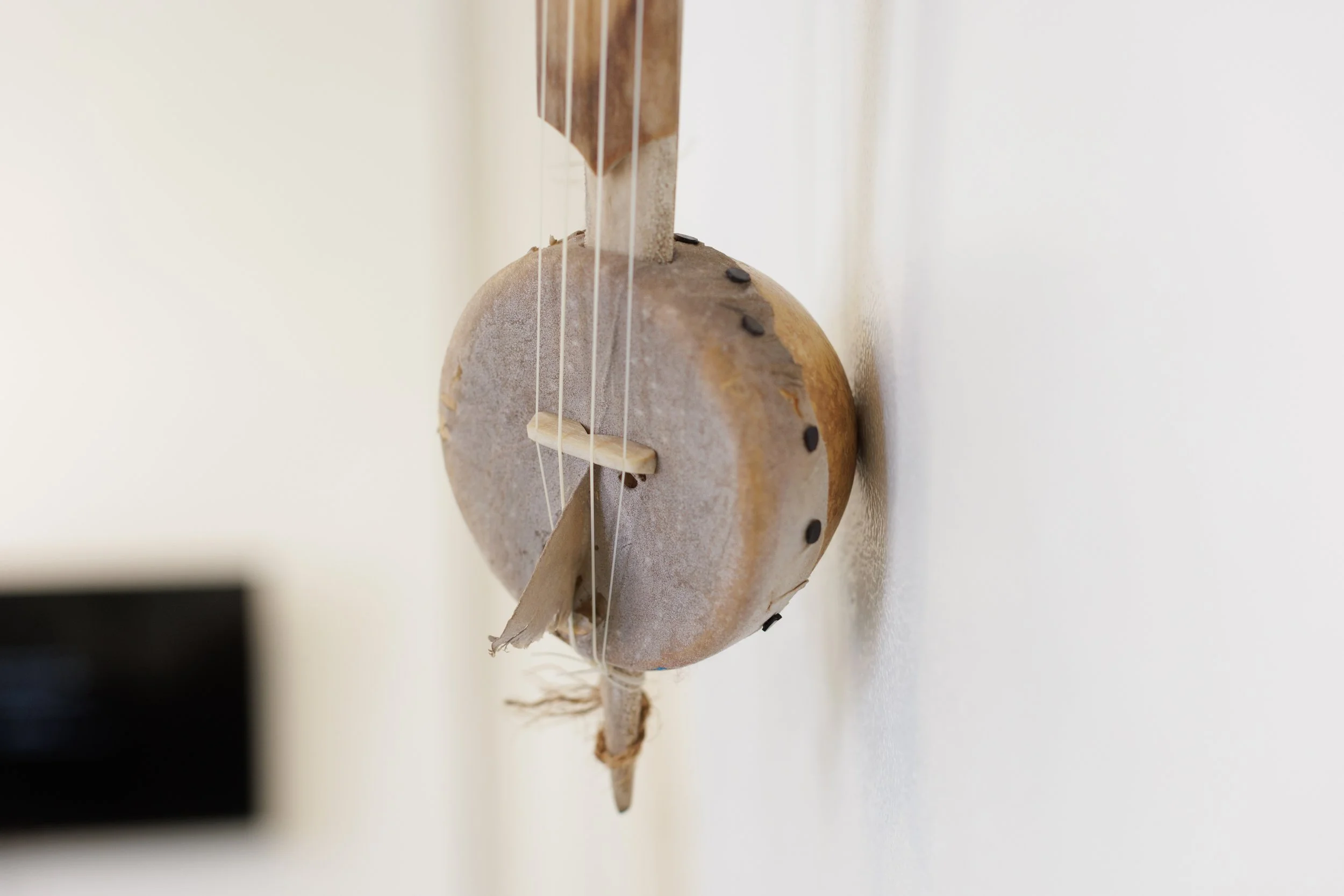 fretless ‘ukulele made of fish mostly (detail)