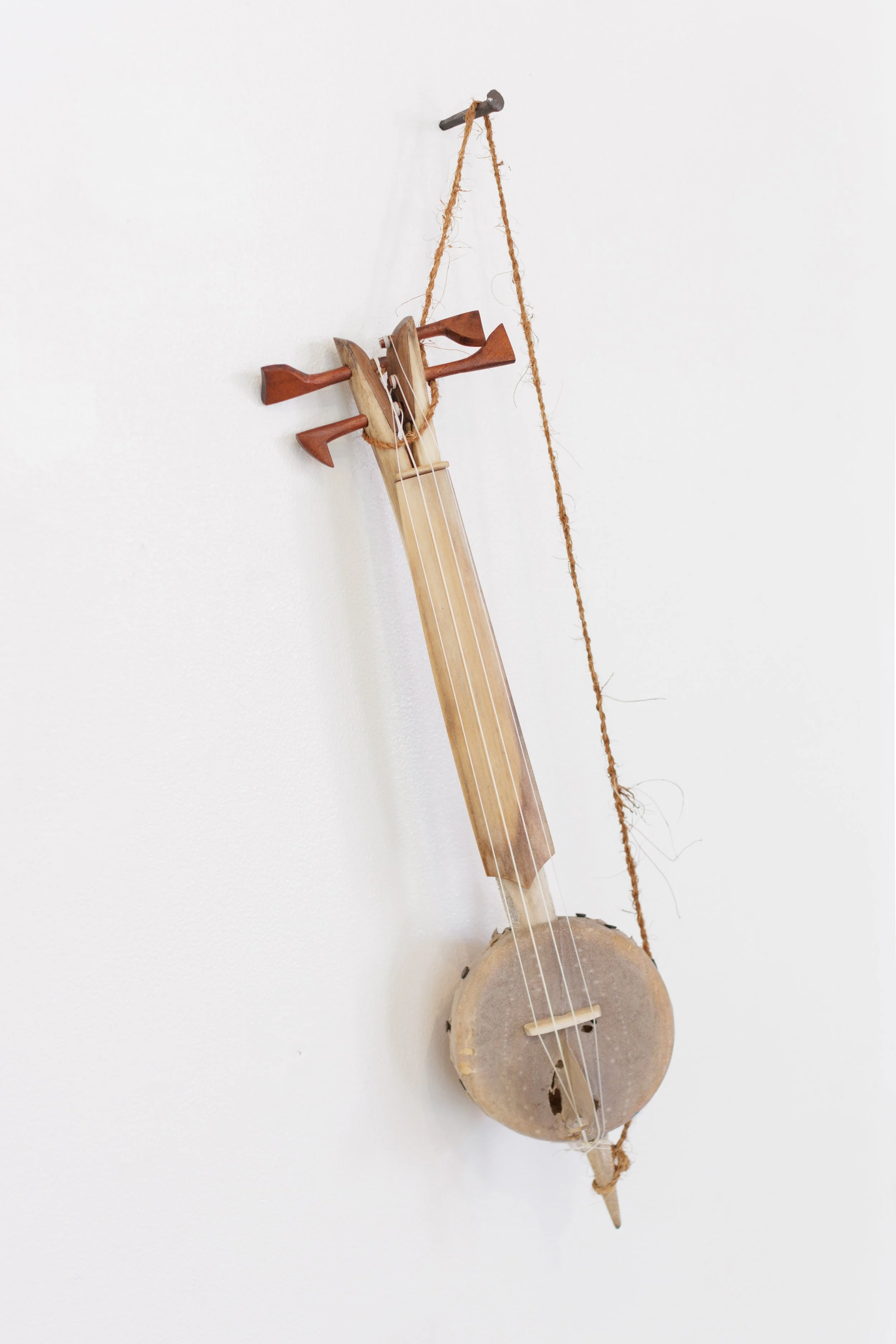 fretless ‘ukulele made of fish mostly