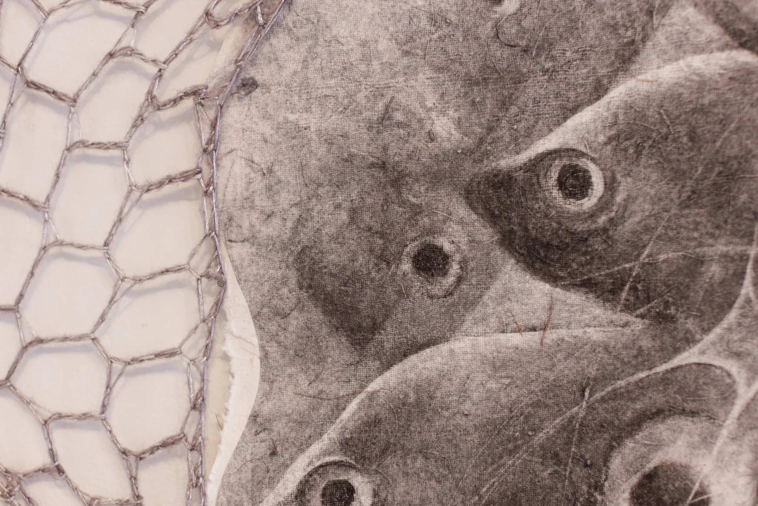 Alec_I‘A_Installation Photography_Sep_26_25-18 copy.jpg