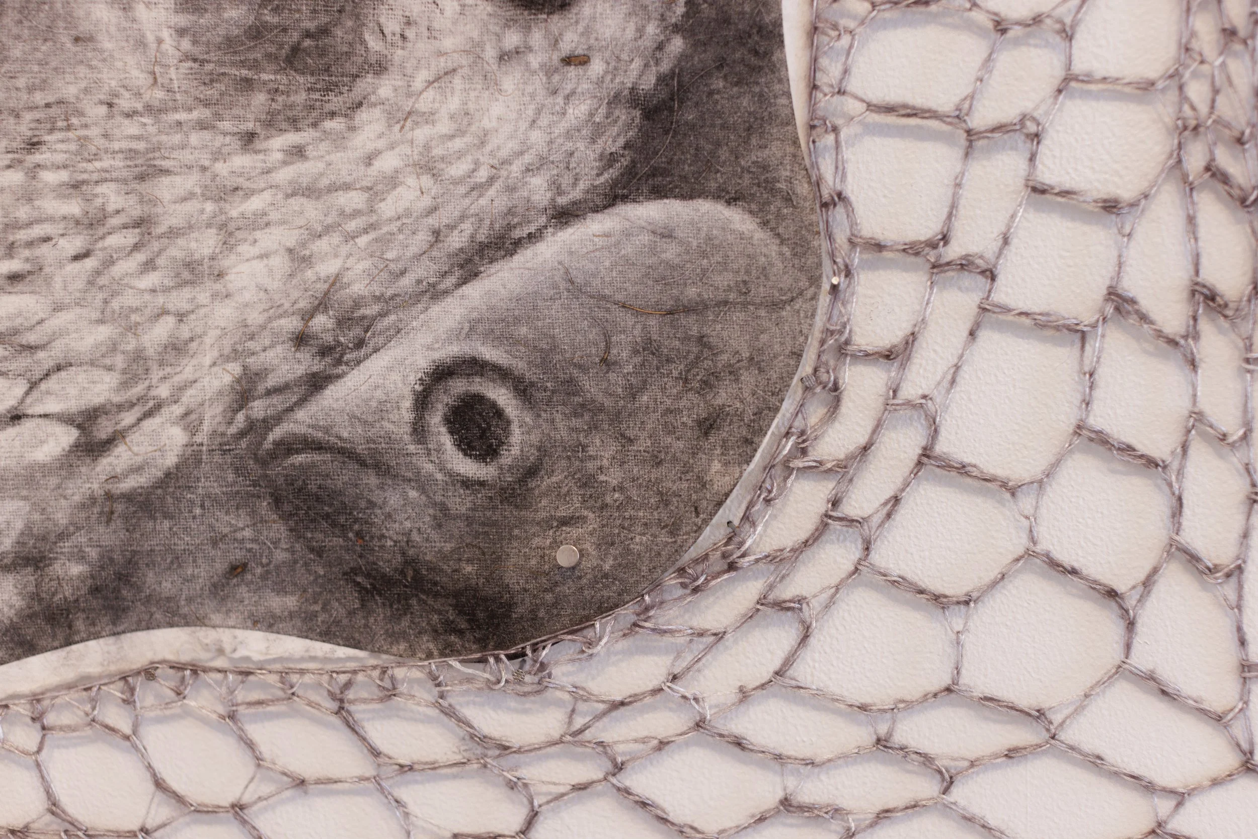 Alec_I‘A_Installation Photography_Sep_26_25-19 copy.jpg