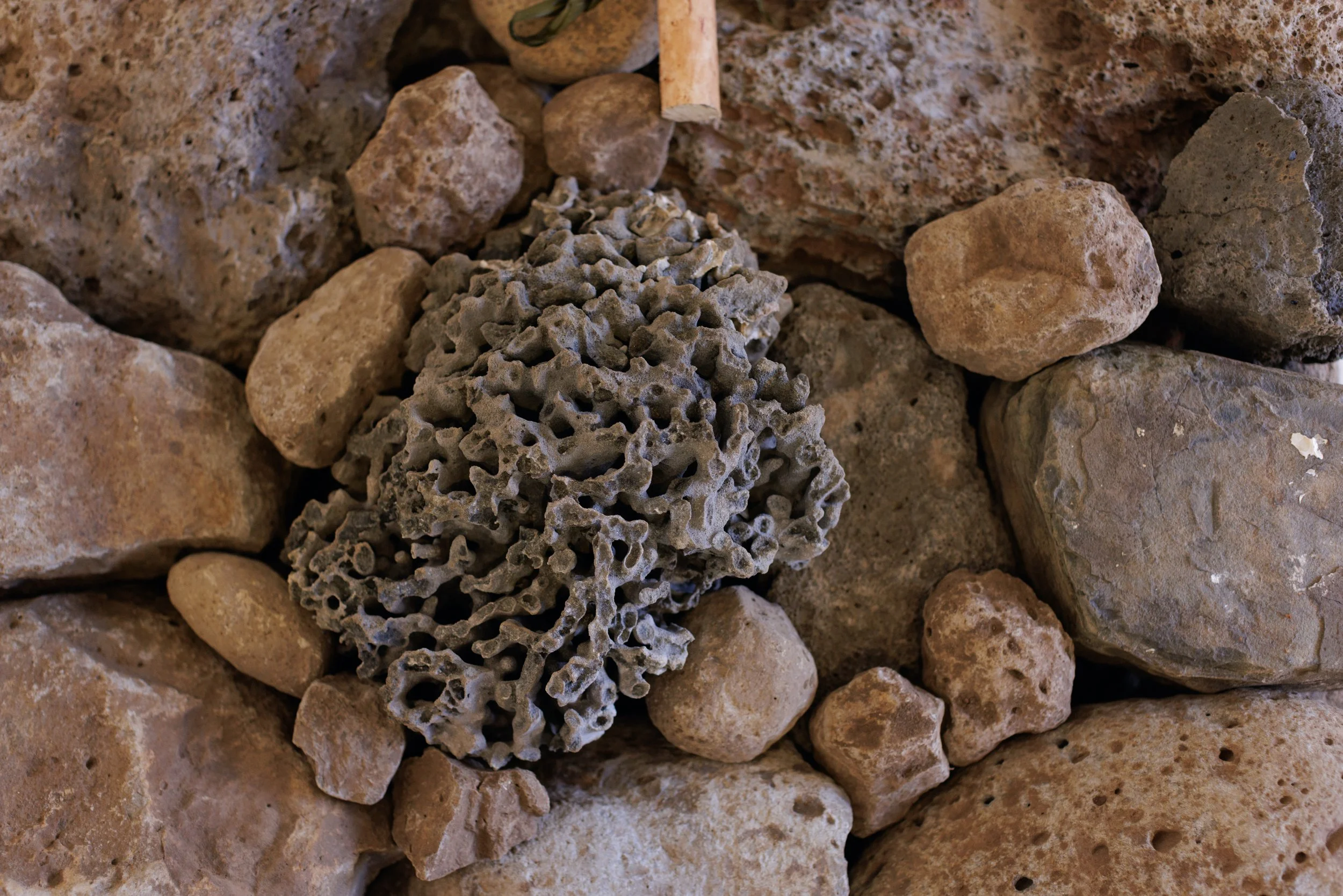 Alec_I‘A_Installation Photography_Sep_26_25-22.jpg