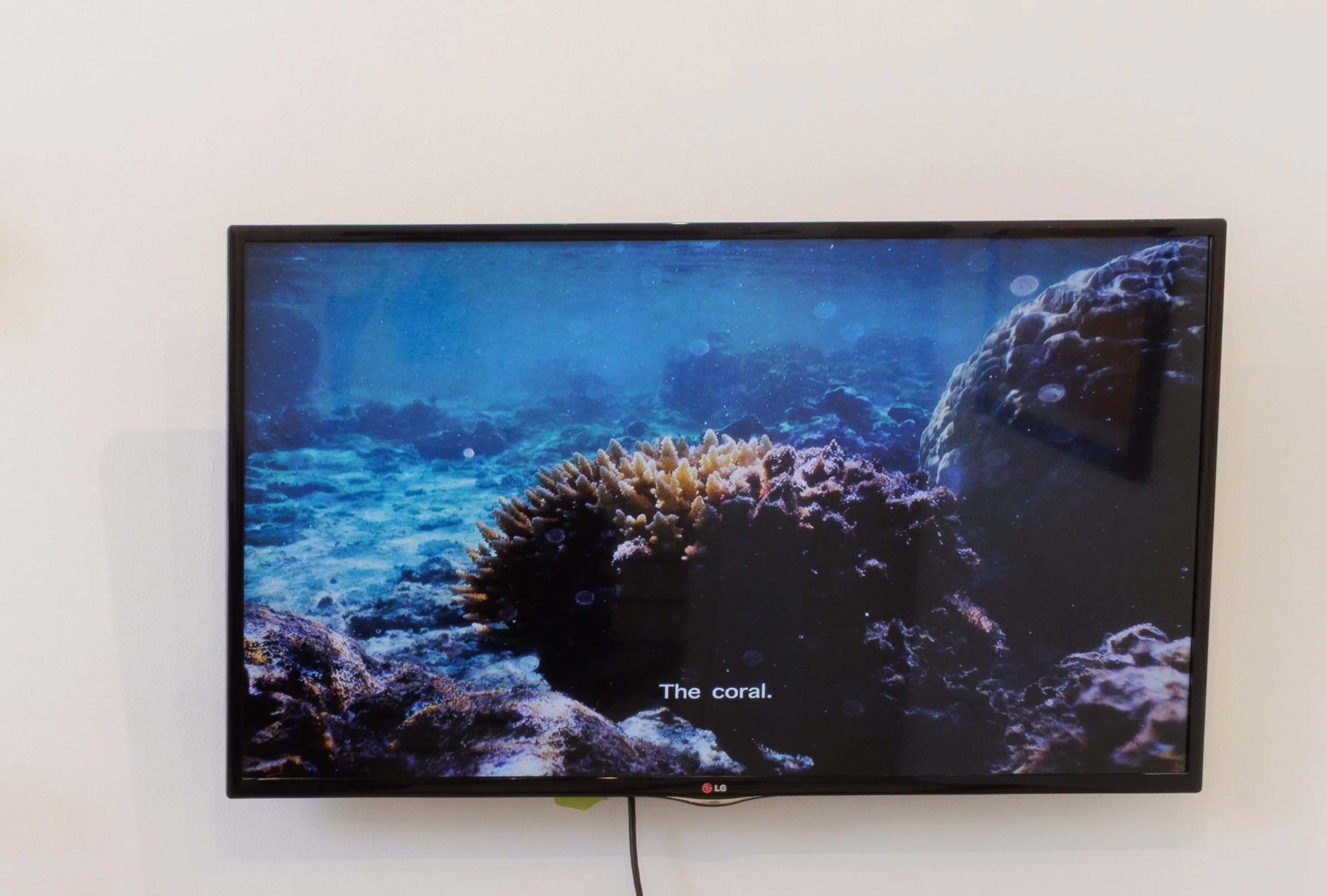  Hoʻolilo ka wā  Ricky-Thomas Serikawa  digital video and sound, 2:56 min. runtime  2025 