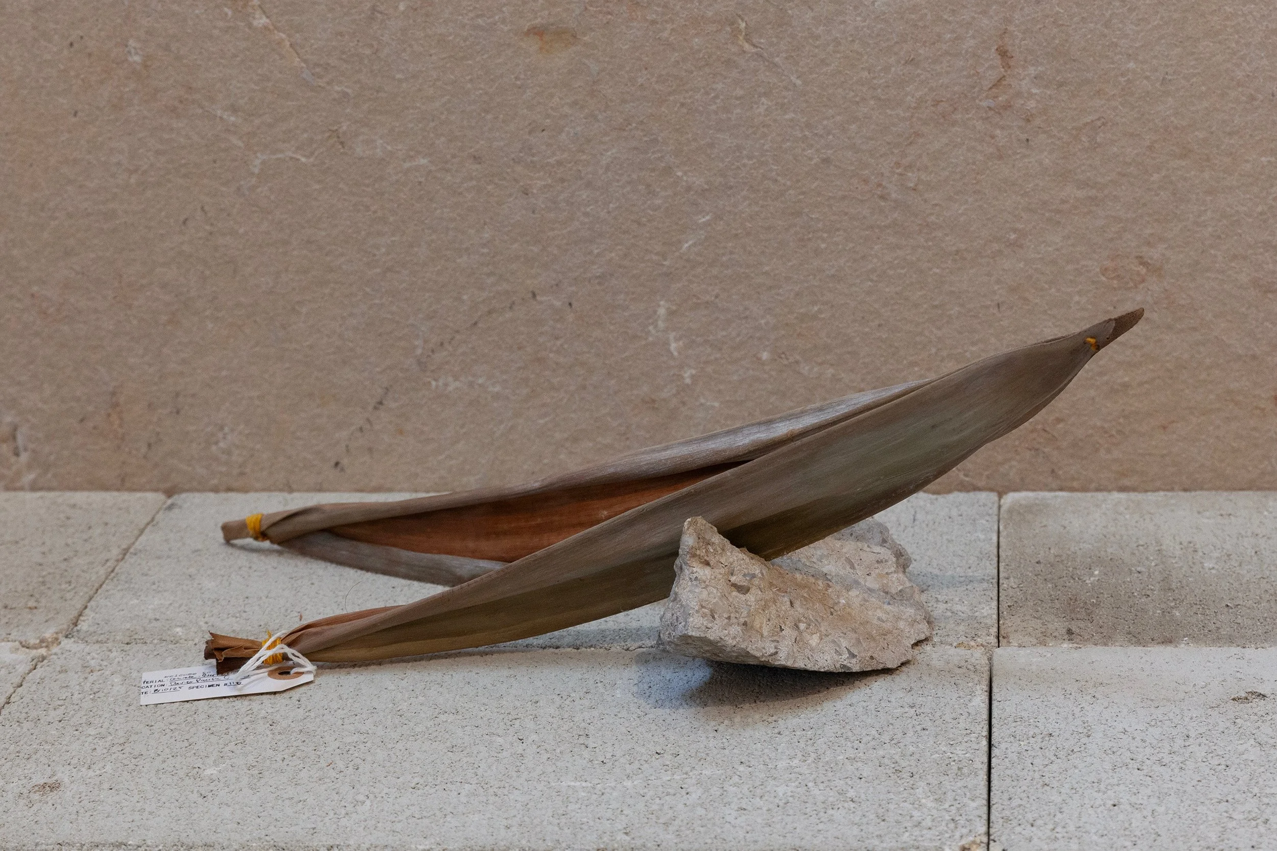   # 113.118   Palm sheaths from Waikahalulu / C.Brewer Building, concrete from Davies Pacific Center  17 x 6 x 9 in. 