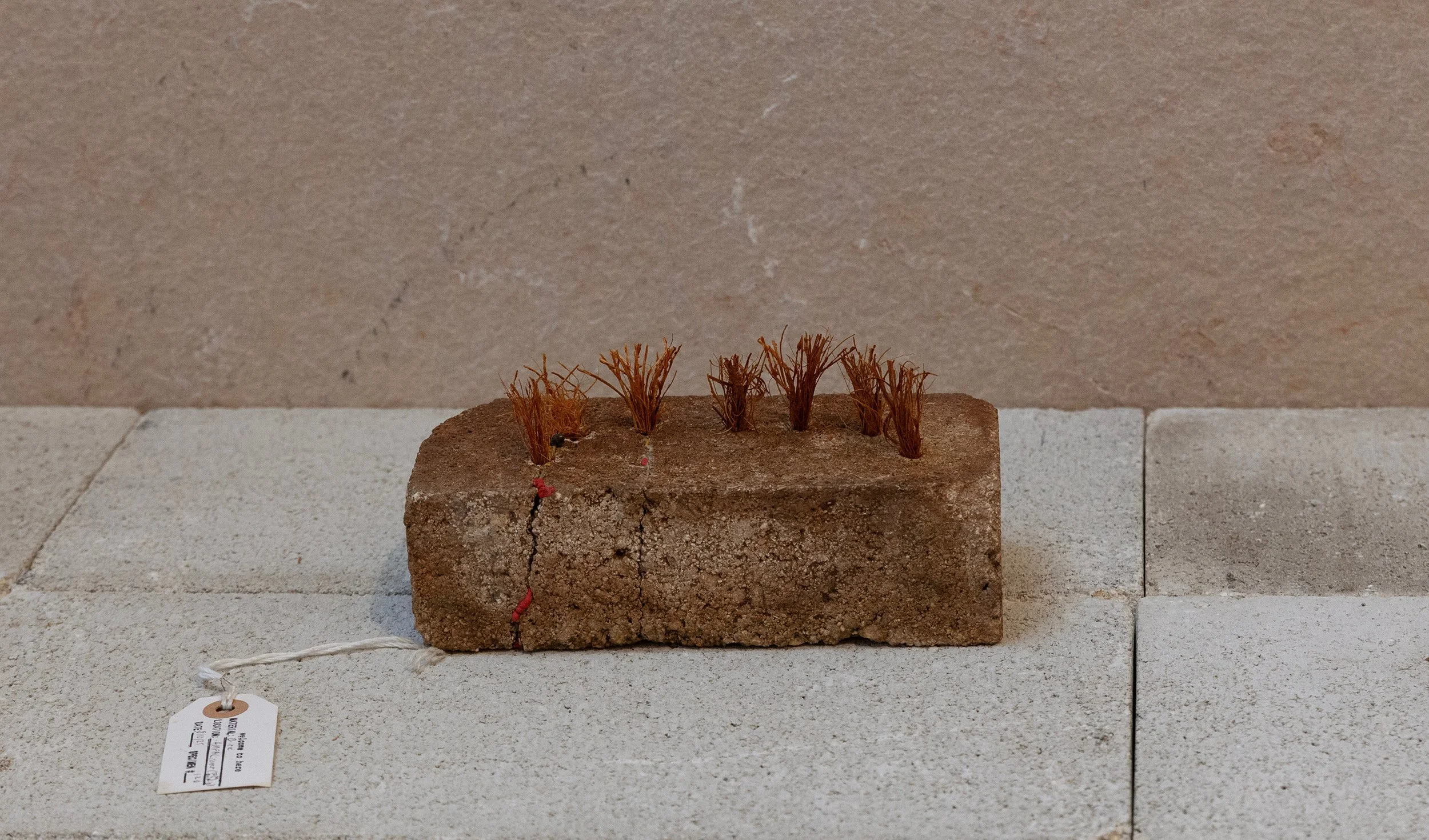   #103.120   Brick from Waikahalulu / AMFAC building,&nbsp; niu (coconut fiber) from Koʻolina Golf Course, liquid nails  4 x 4 x 8 in. 